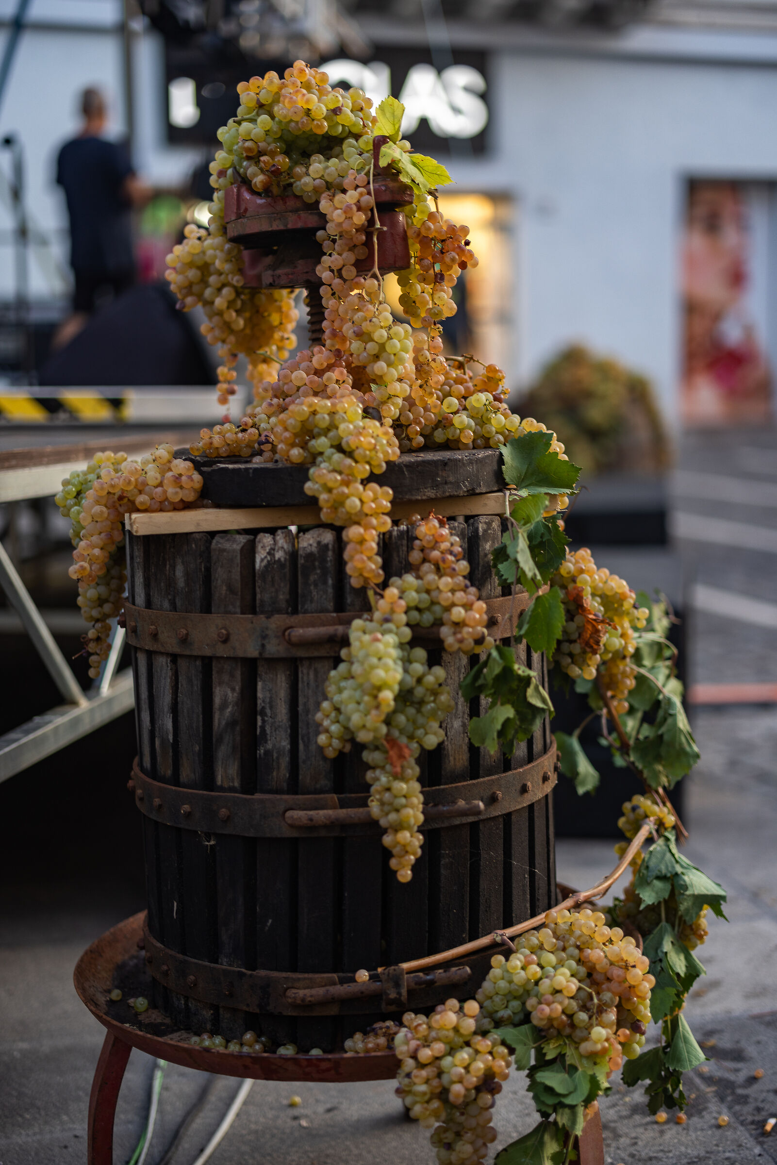 And it will be good wine!