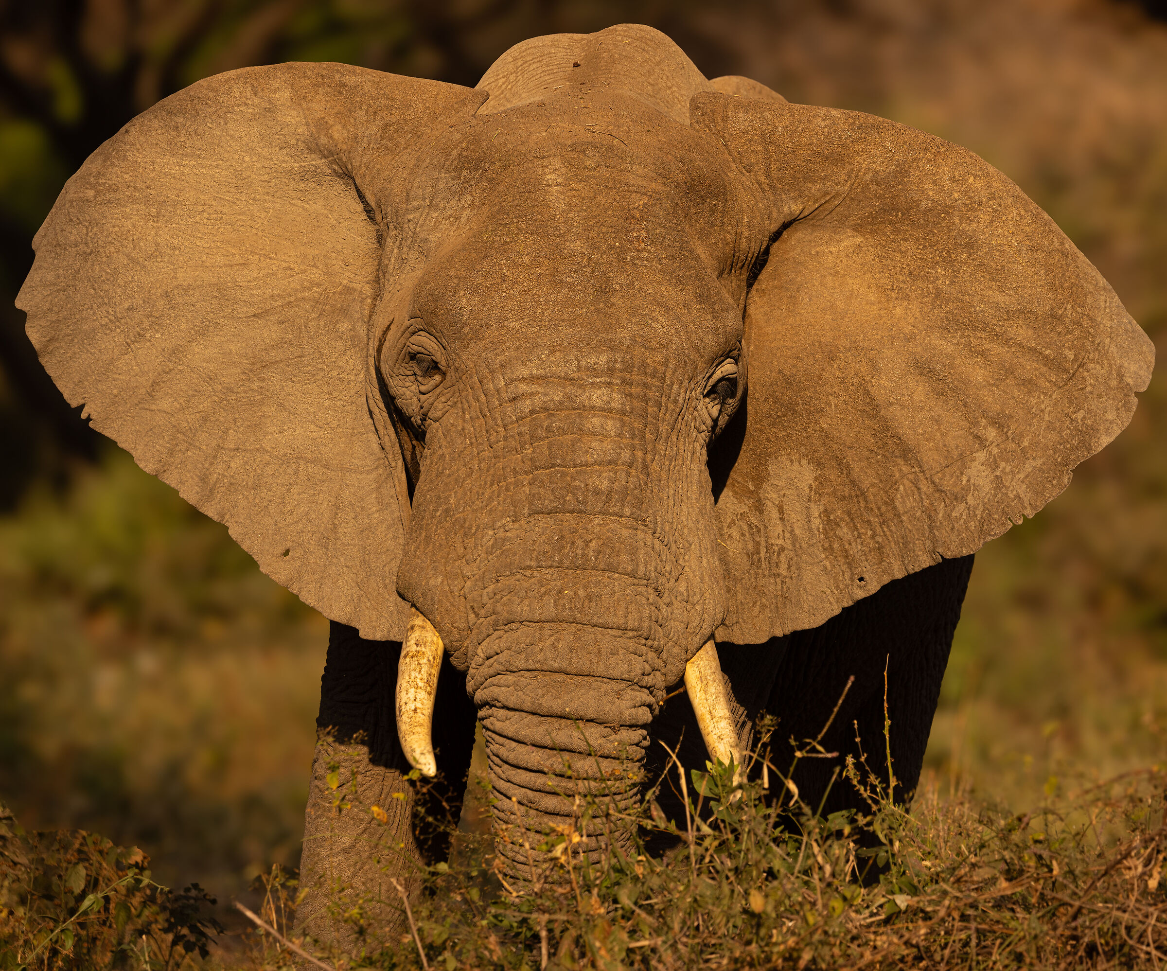 lake Manyara National Park - August 2025