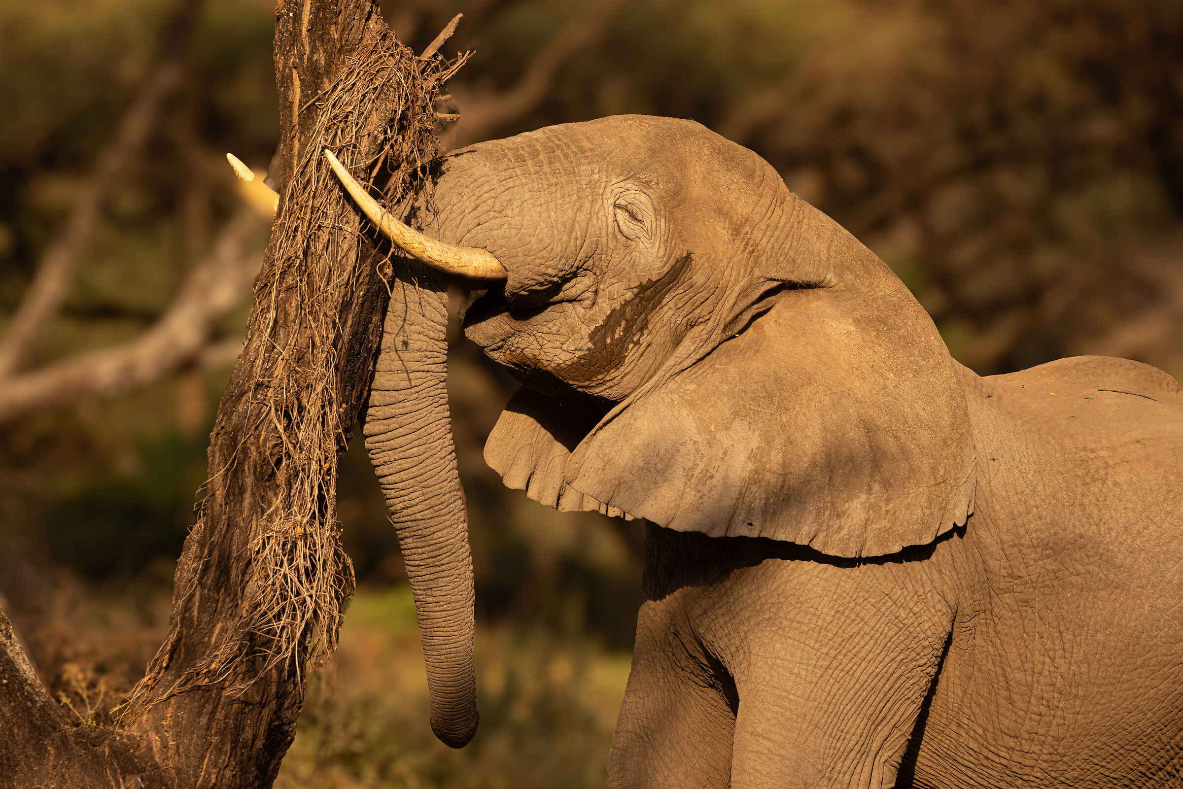 lake Manyara National Park - August 2025