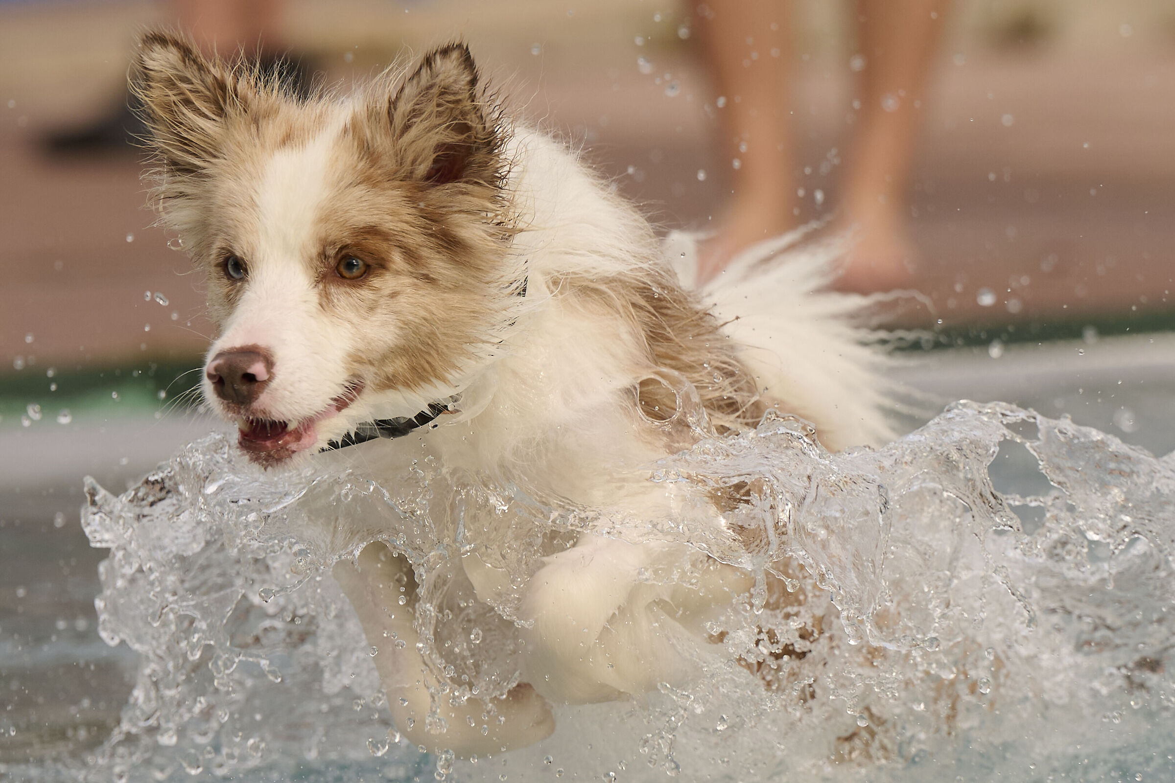 Alla piscina all'aperto