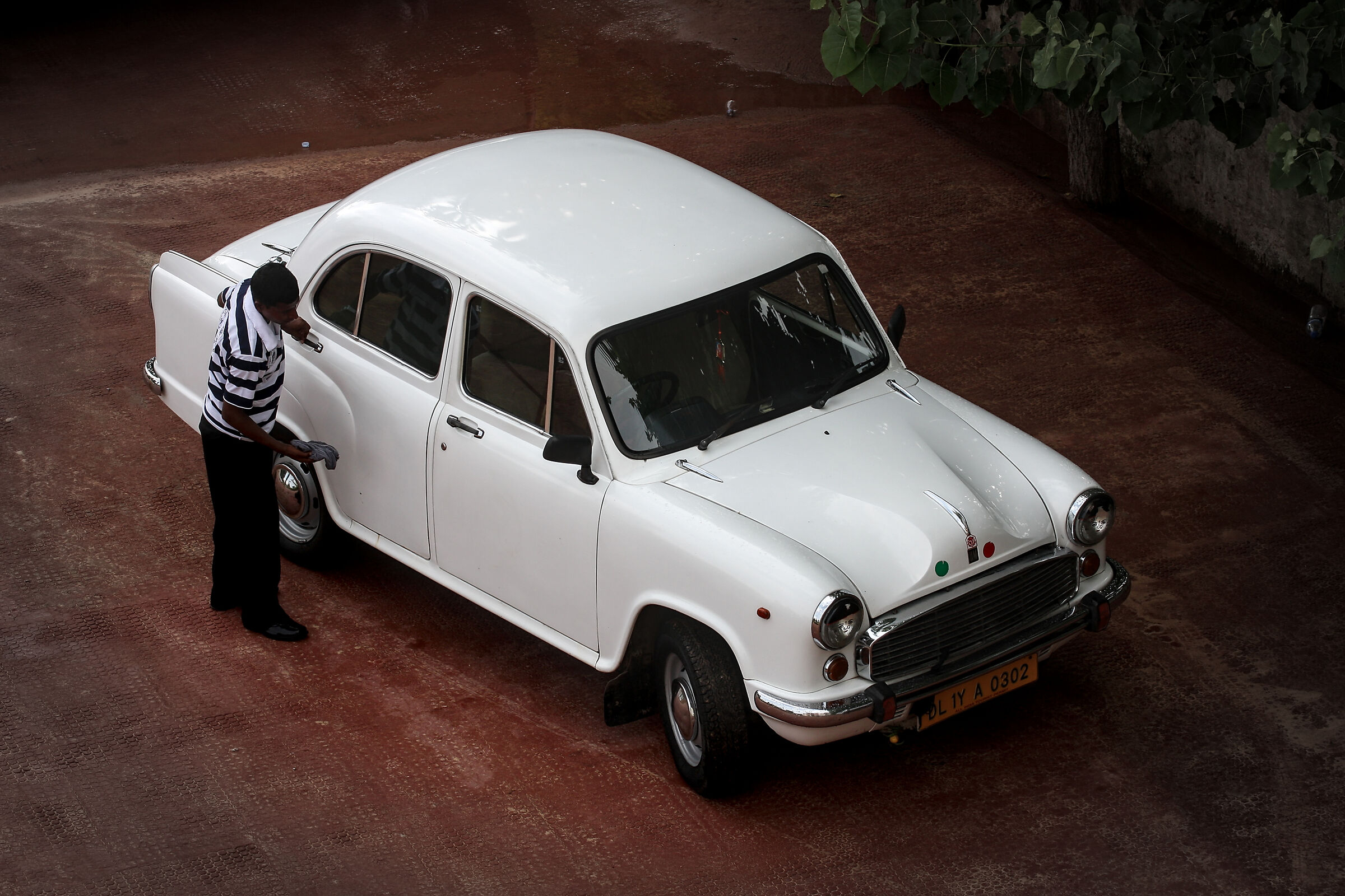 Ambassador, pride of India