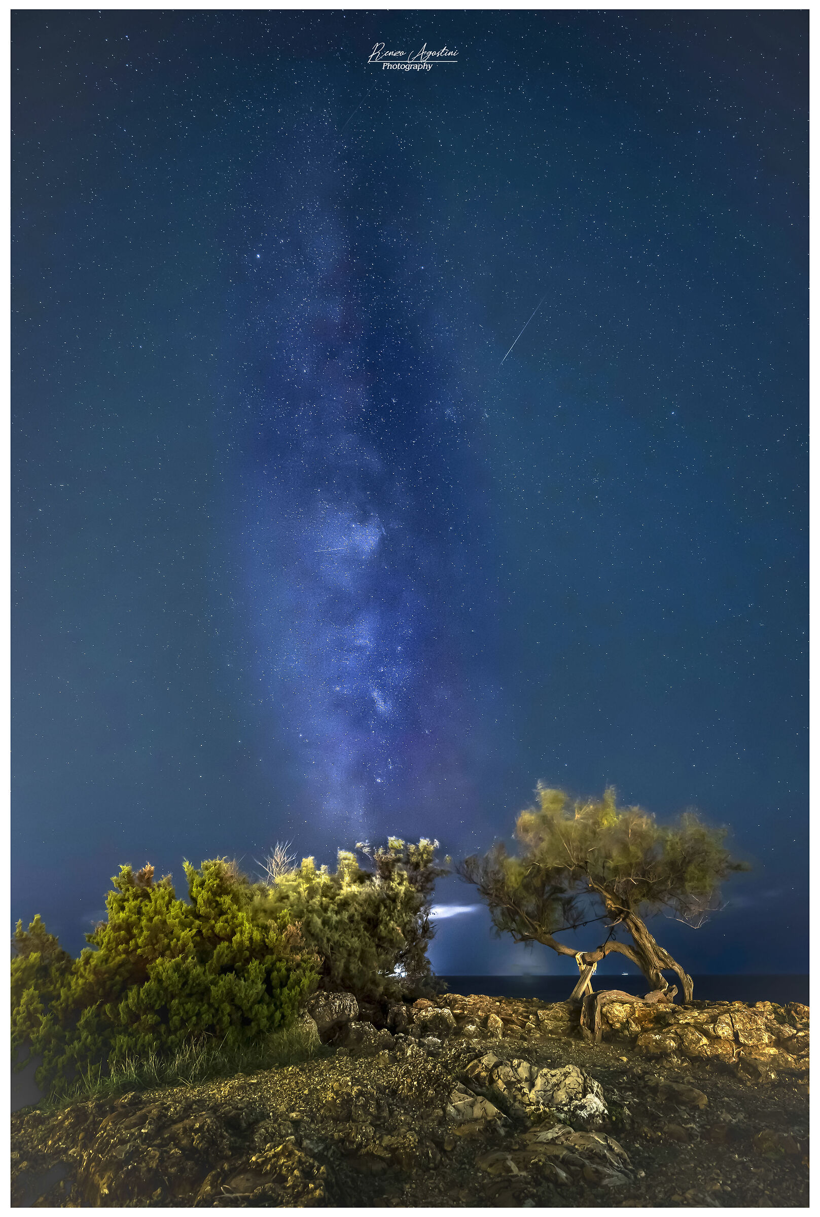 Milky Way at the tamarisk-Livorno