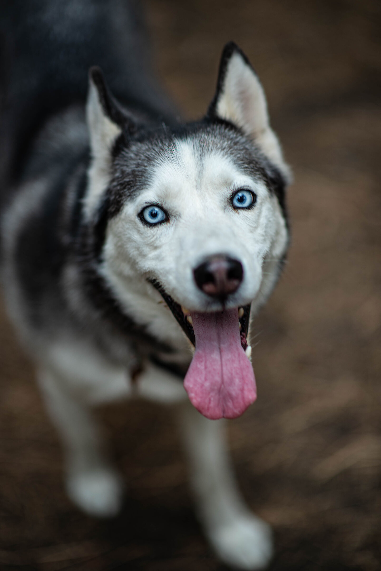 Blue eyes