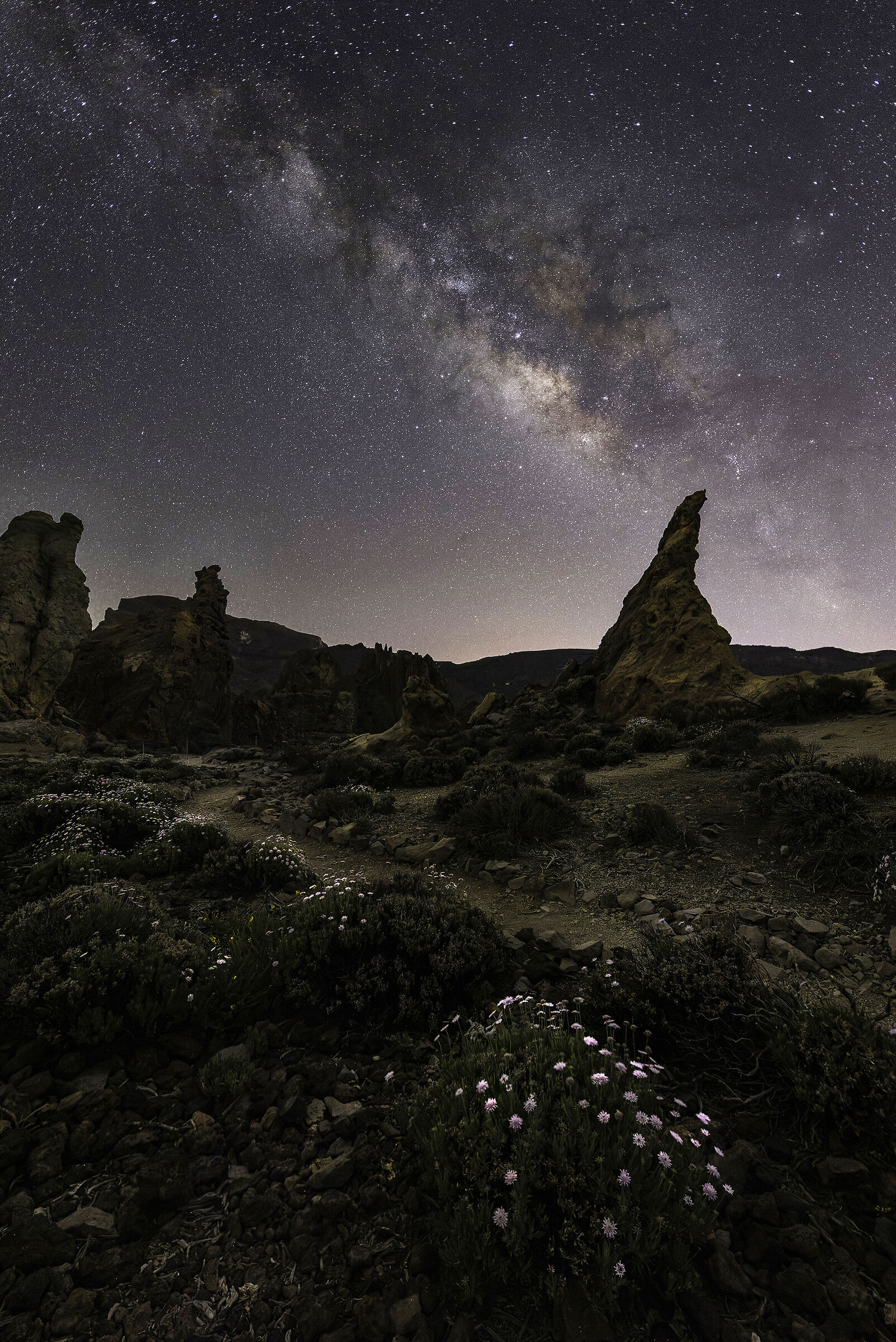 Il giardino incantato