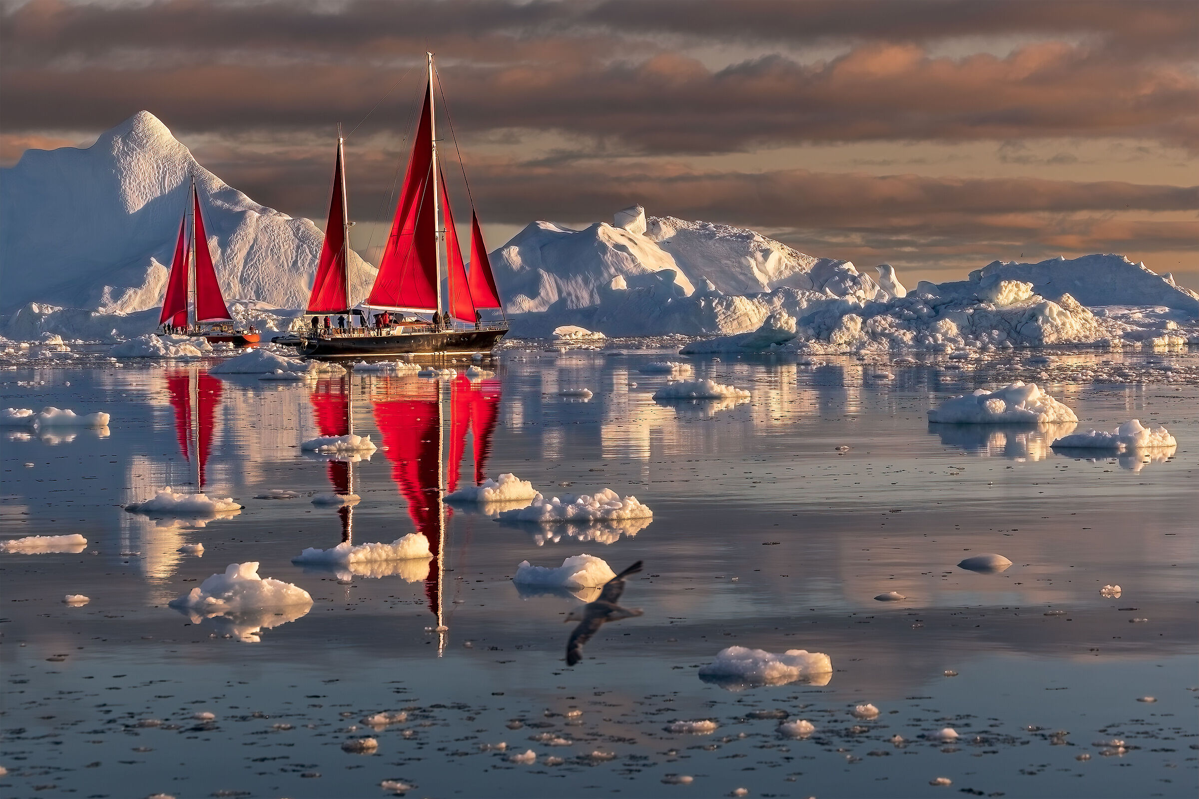 Vele rosse a Disko Bay