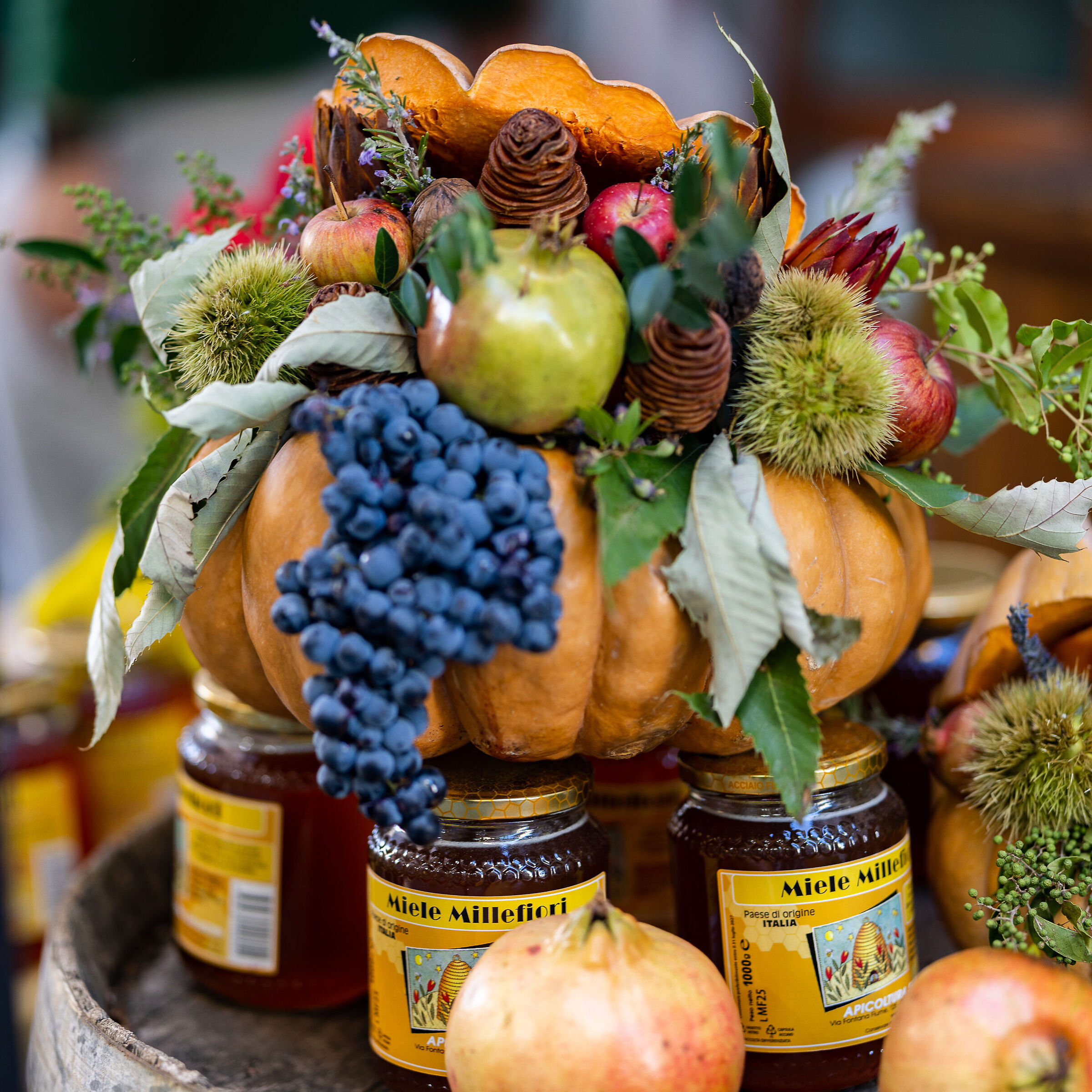 The colors of autumn