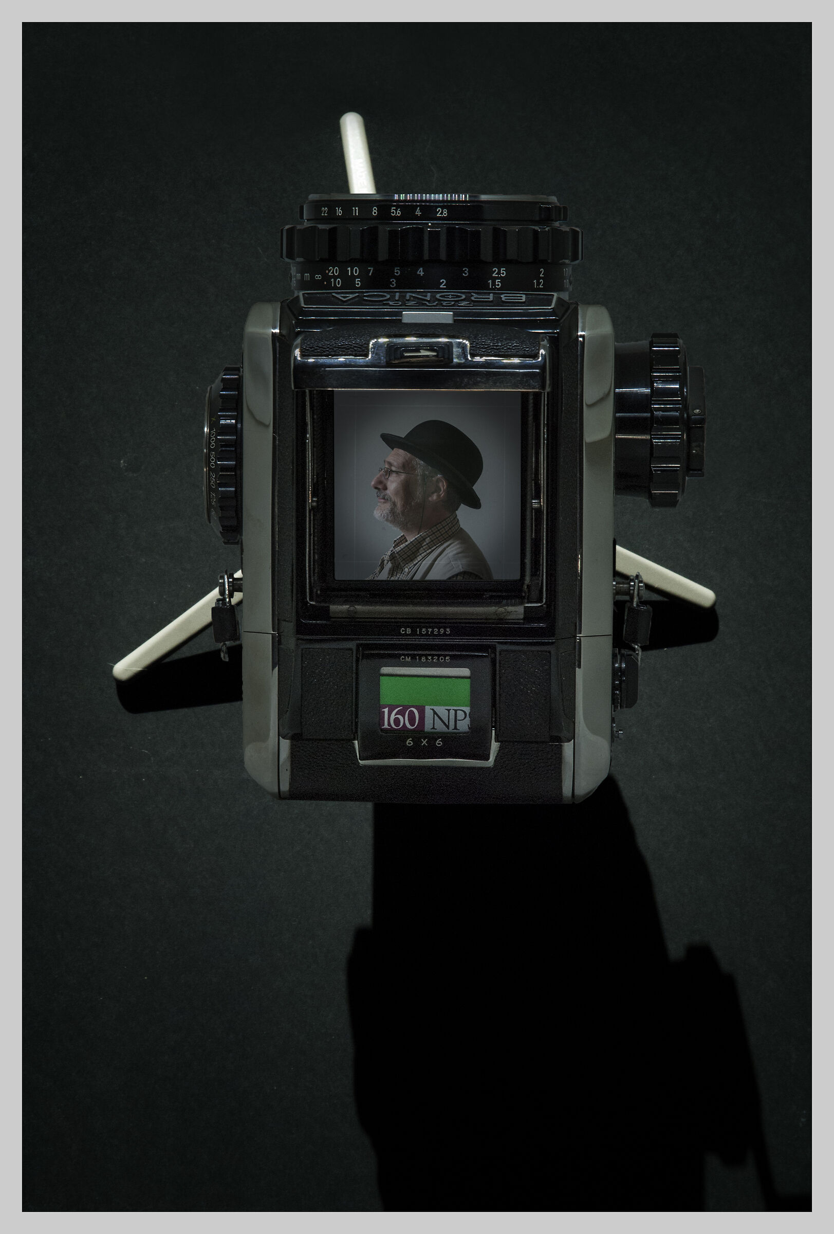 Un ritratto insolito