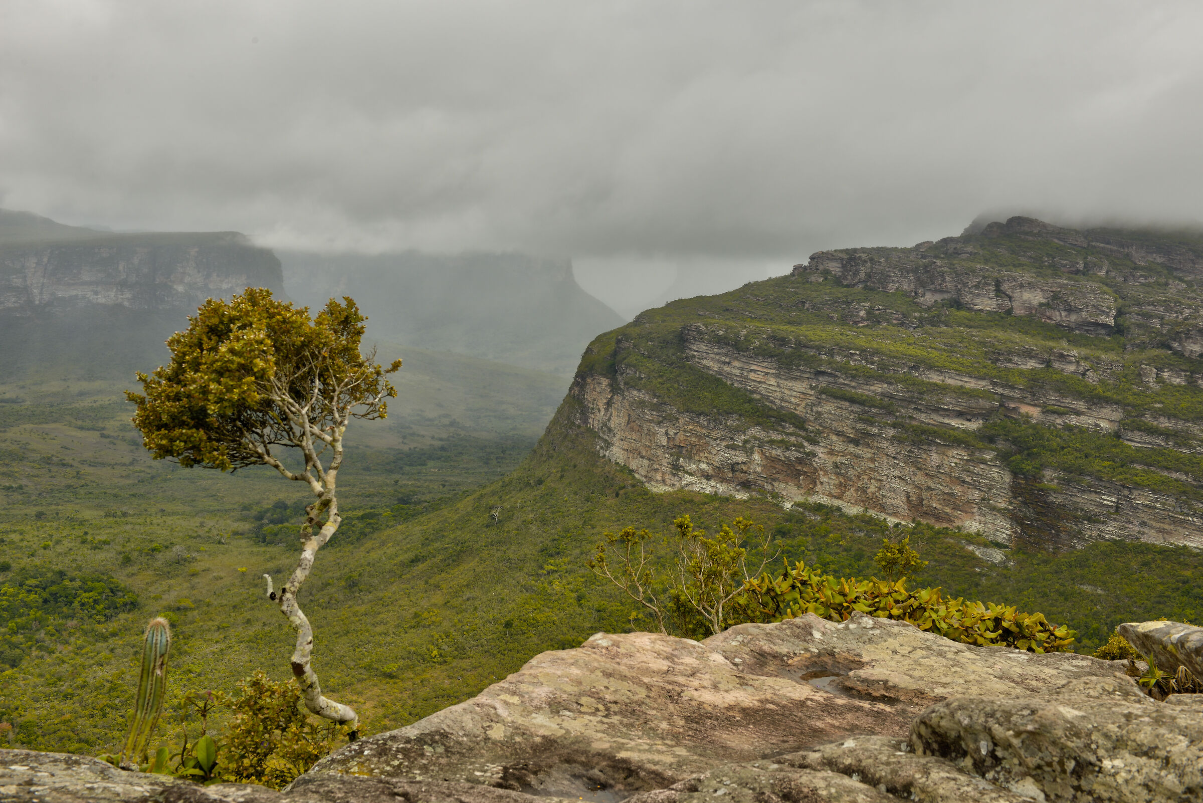 Morro do pai Inacio