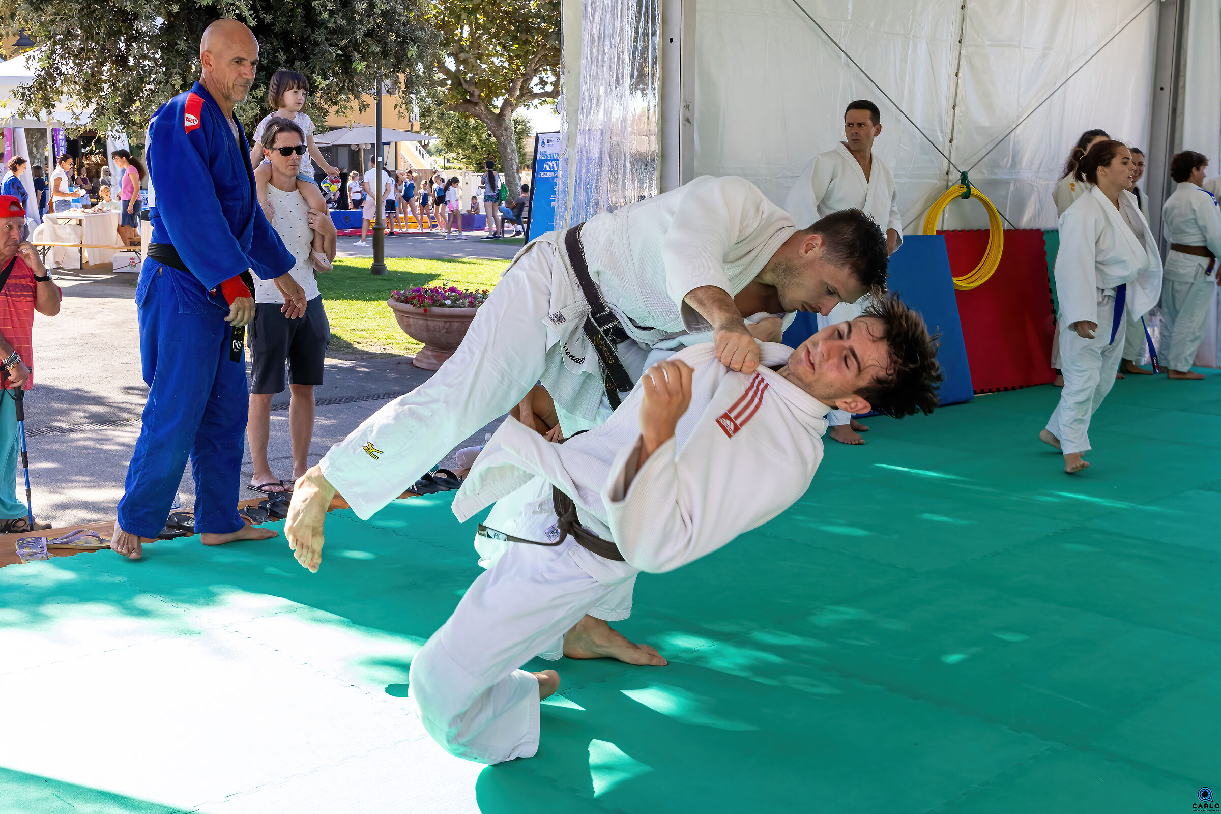 Judo