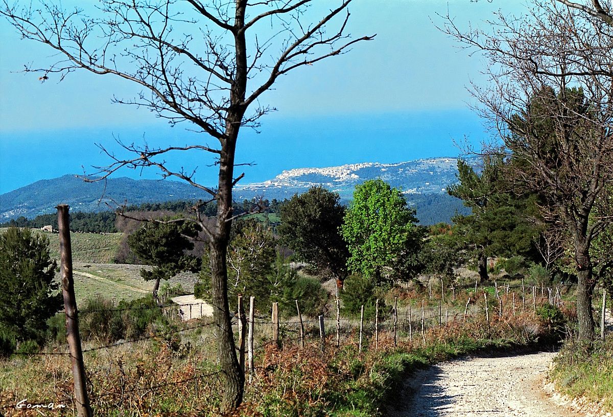 Gargano, i colori - 1987