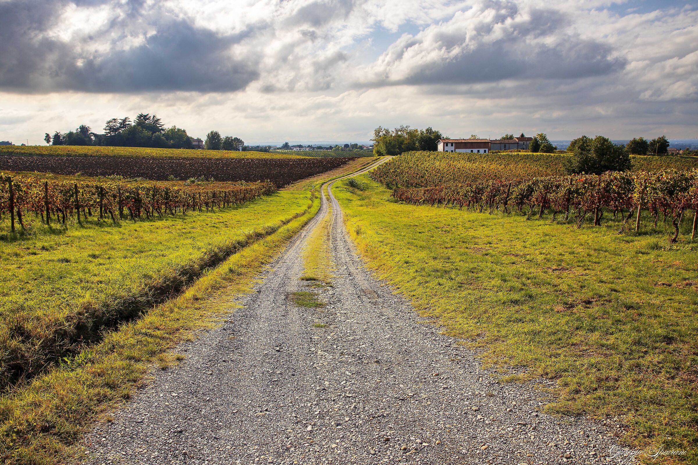 due passi tra le vigne