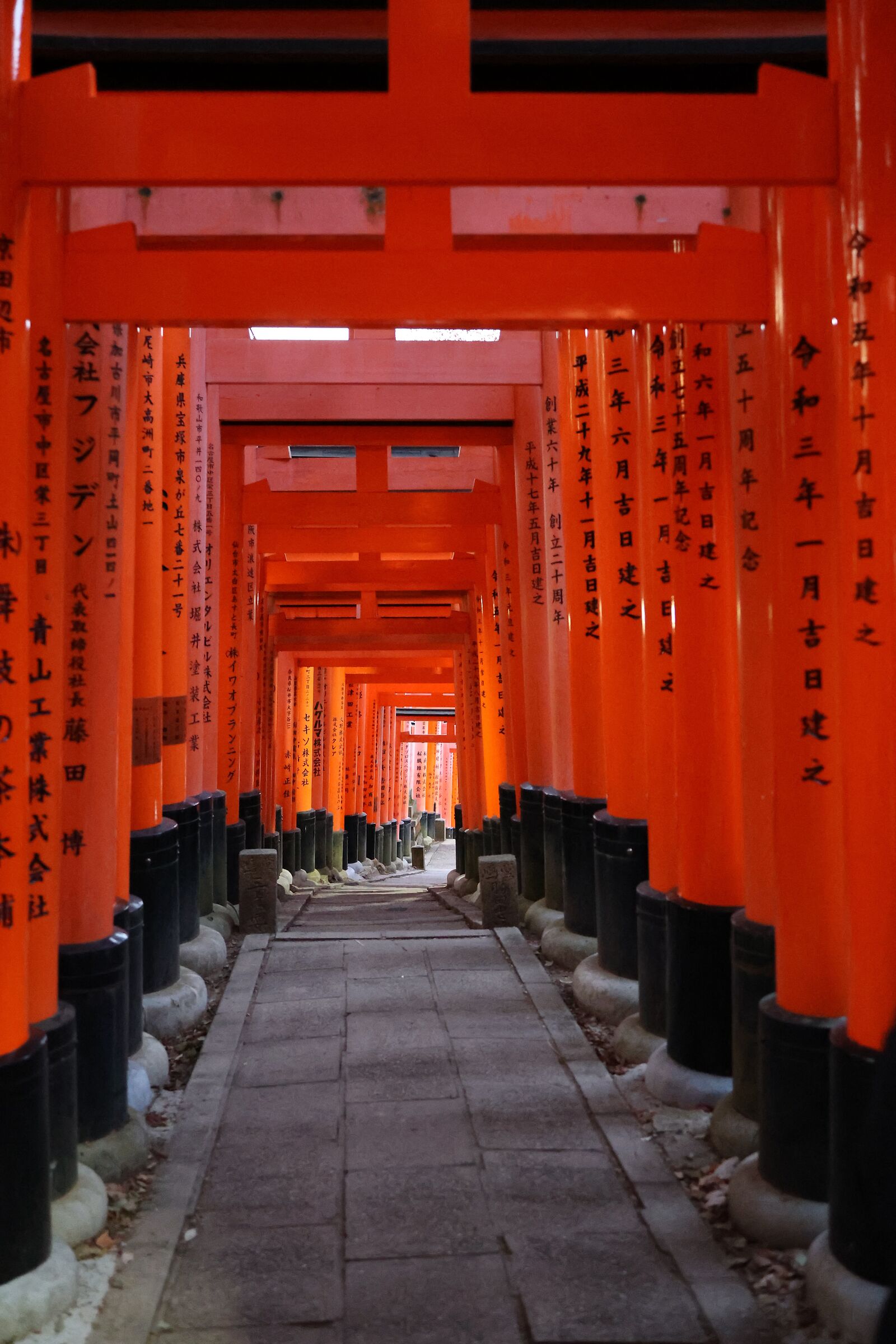Fushimi Inari
