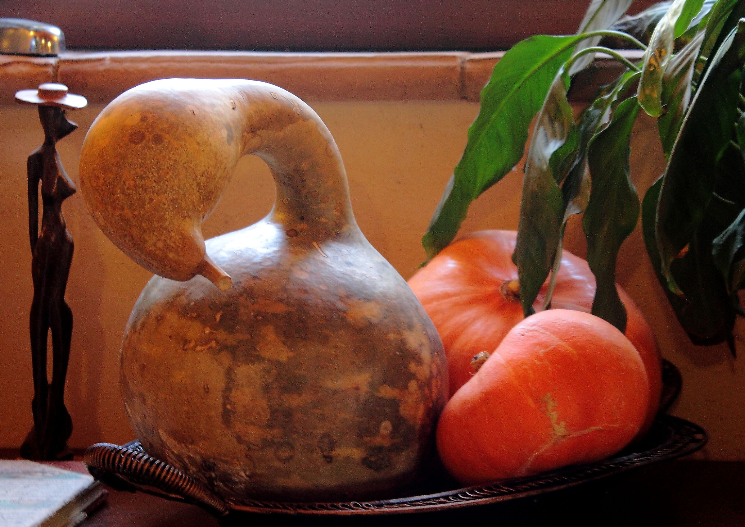 zucca_settembrina