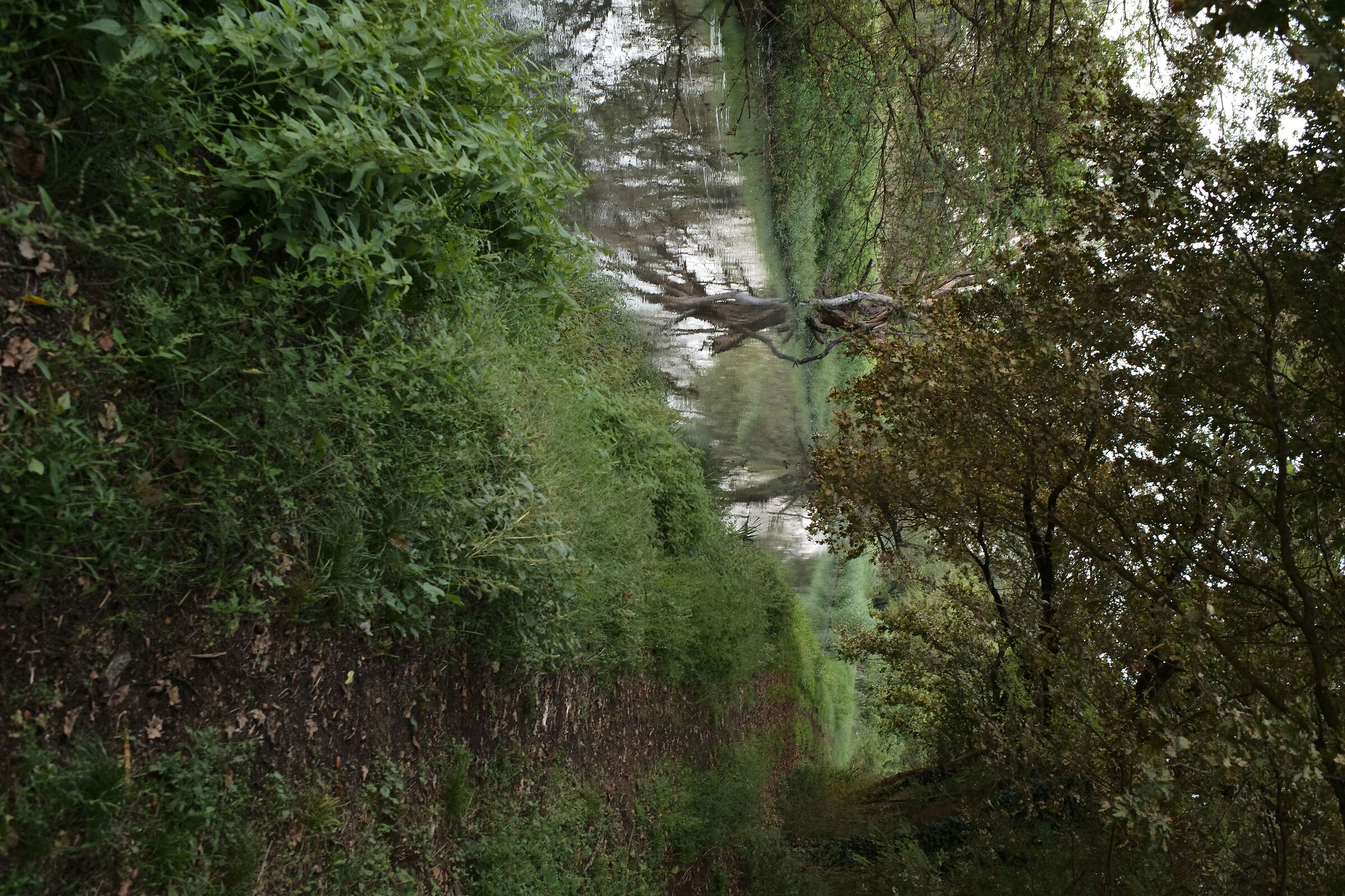 Verso sera, il sentiero lungo il canale