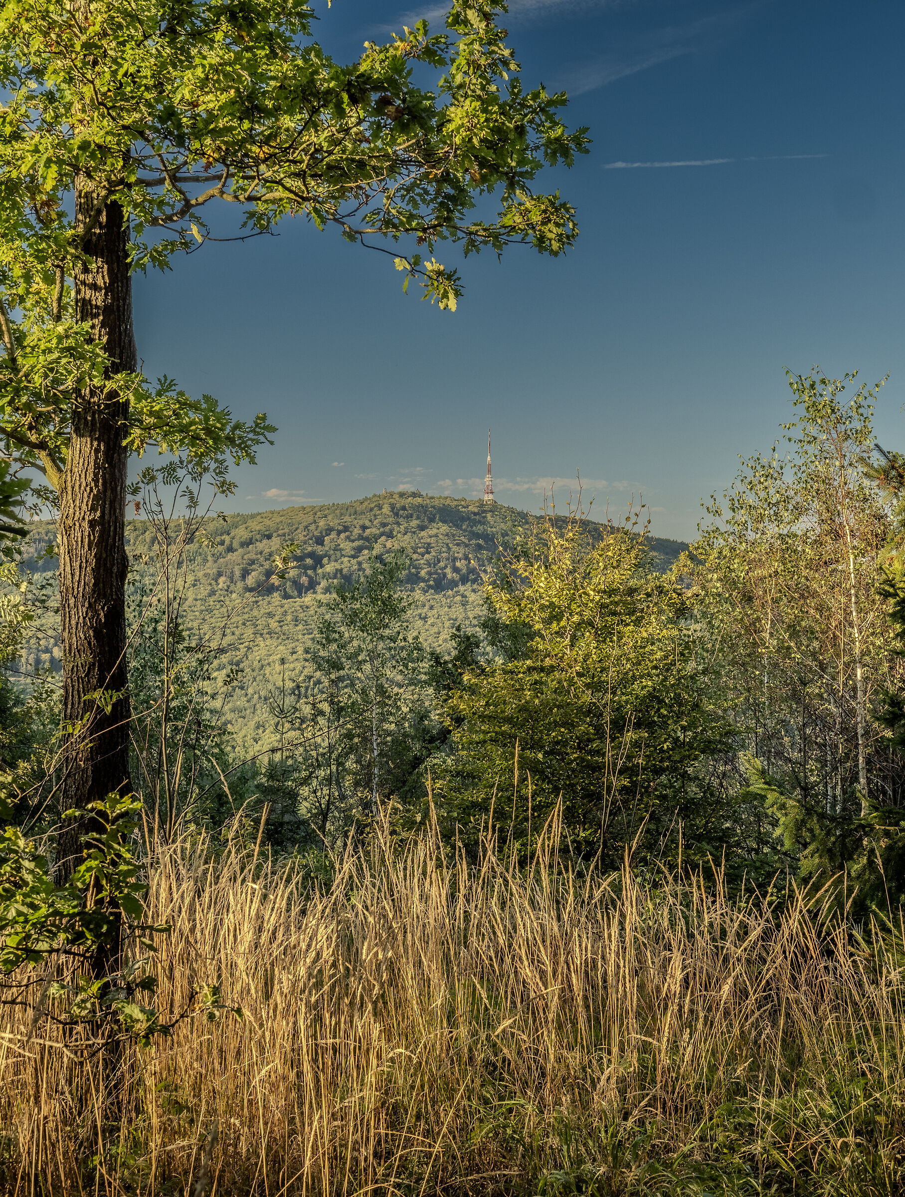 La via della Sleza da Radunia