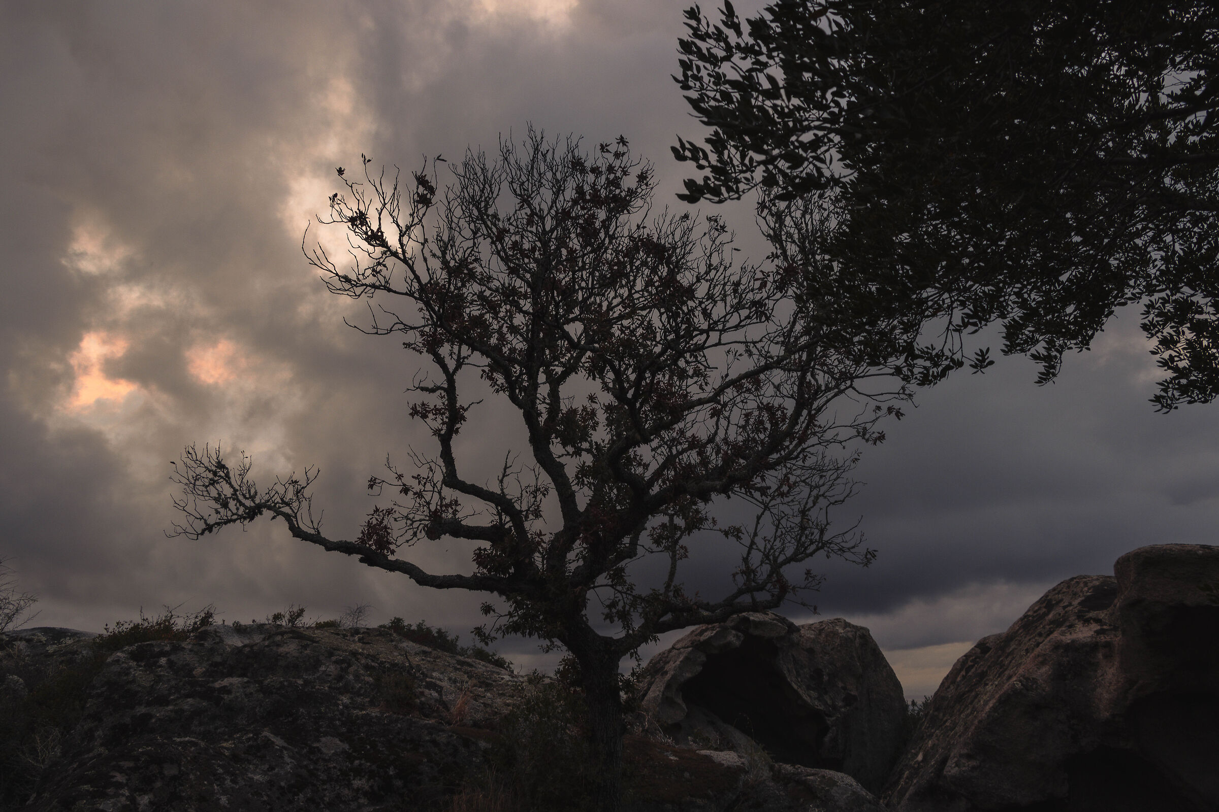 Home and surroundings