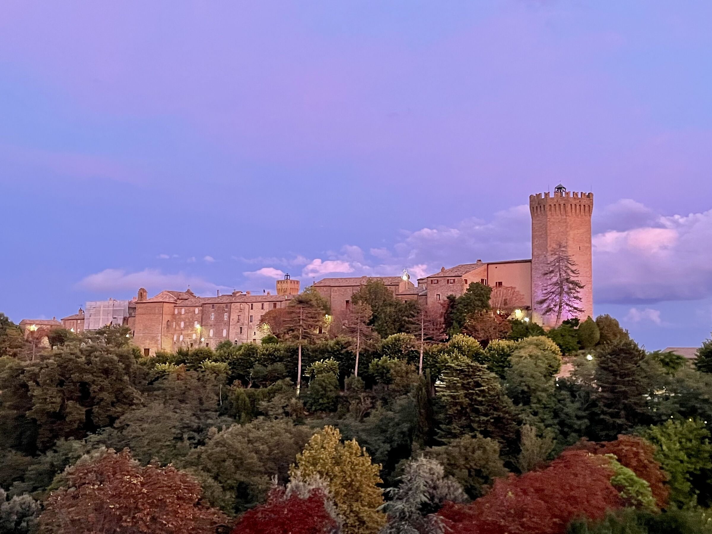 Moresco rosato (Marche)