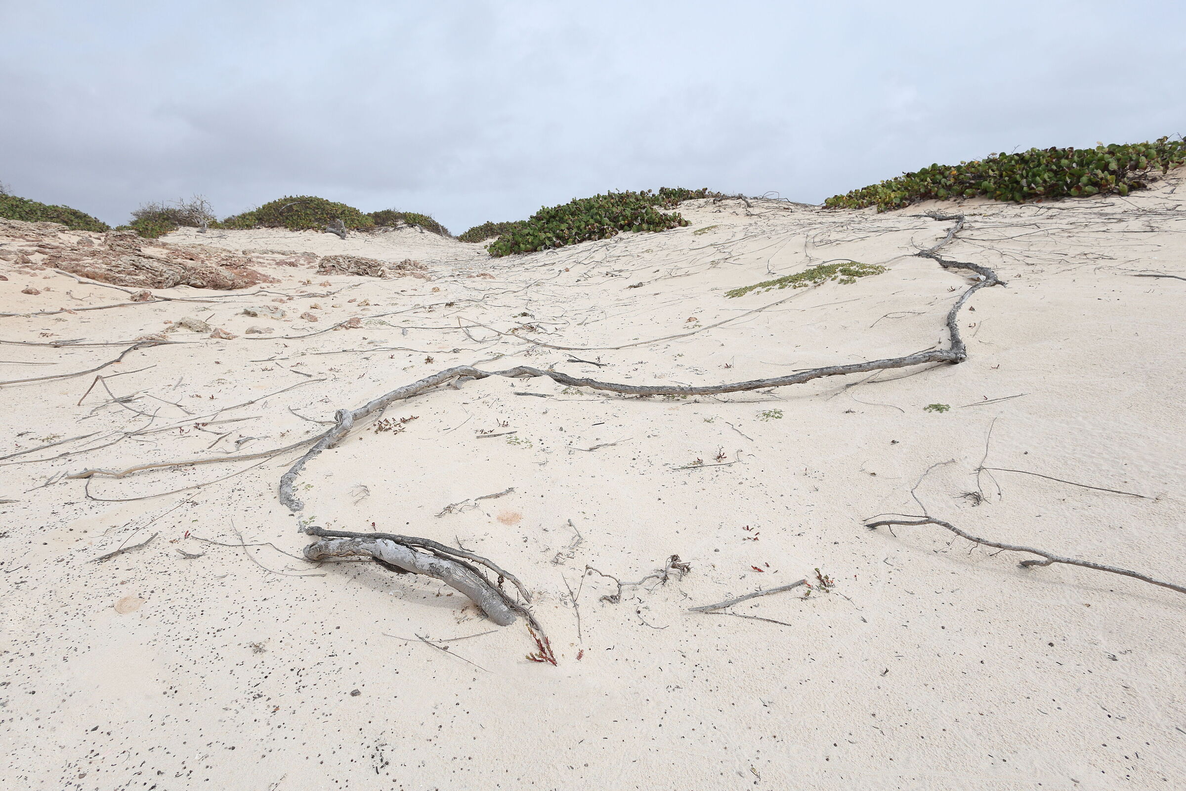 Dune di sabbia di Arikok