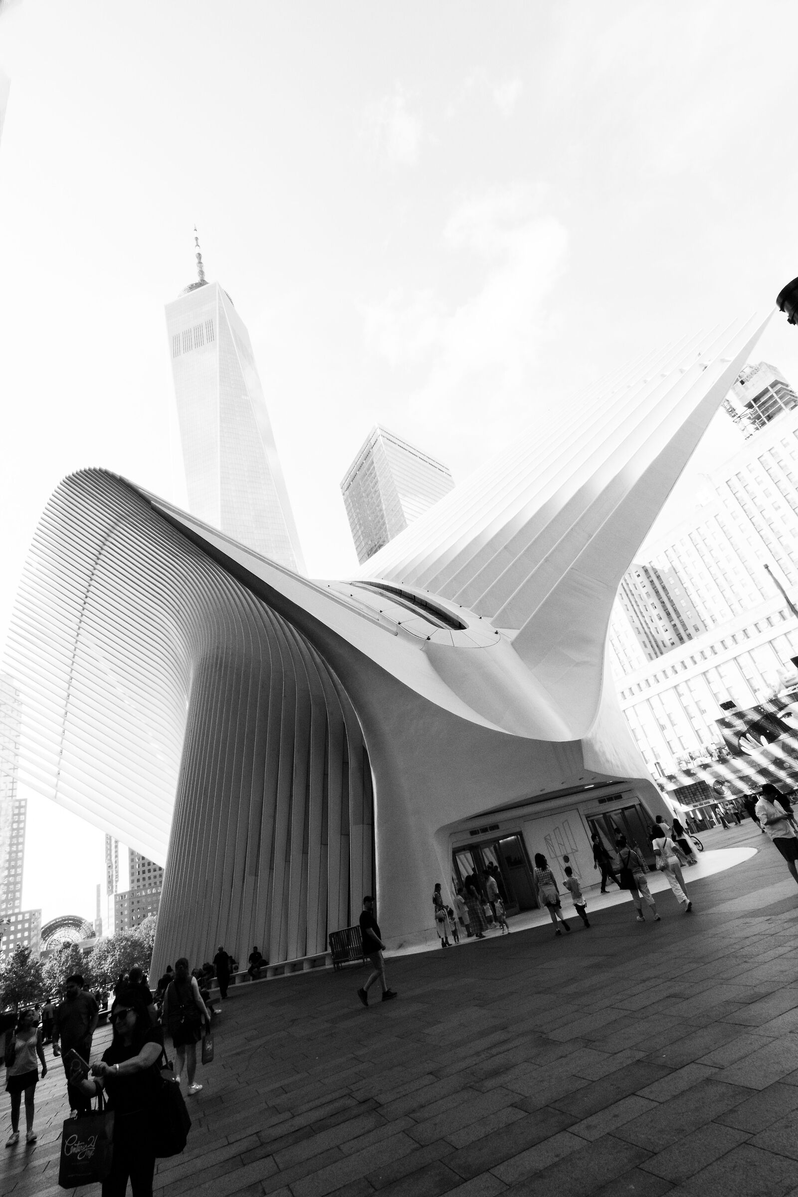 Ground Zero