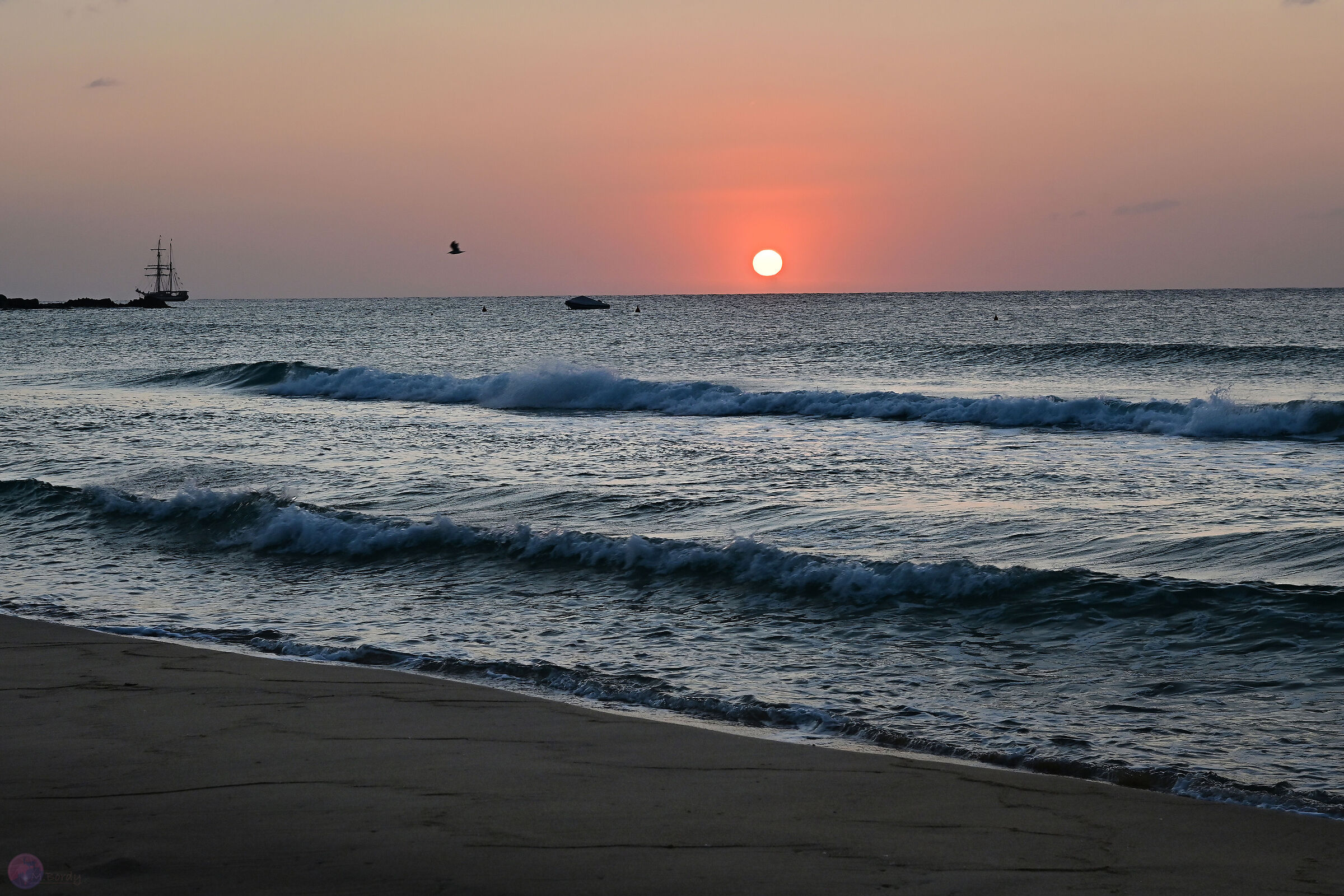 Il mare d'argento