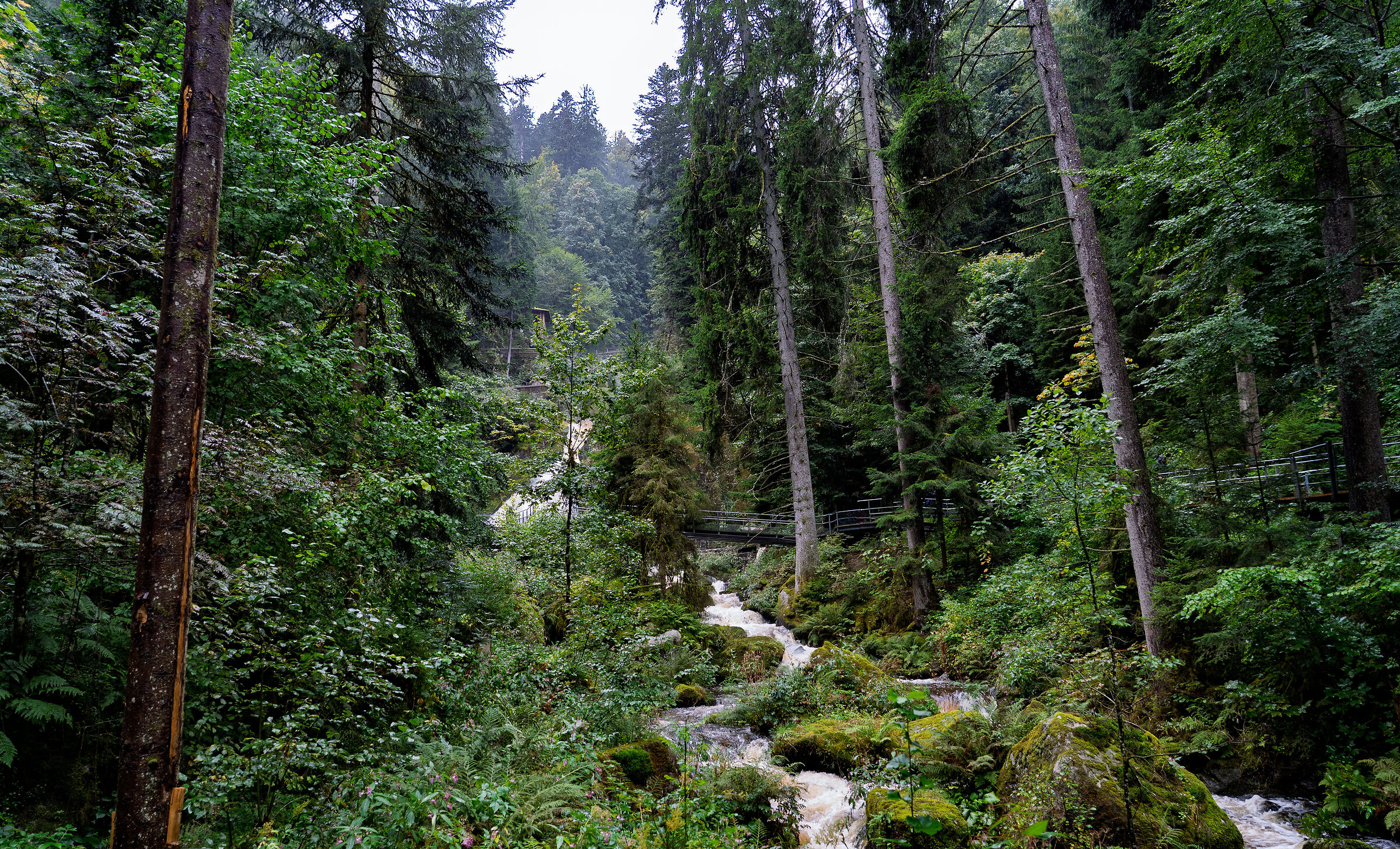 The Triberg Falls