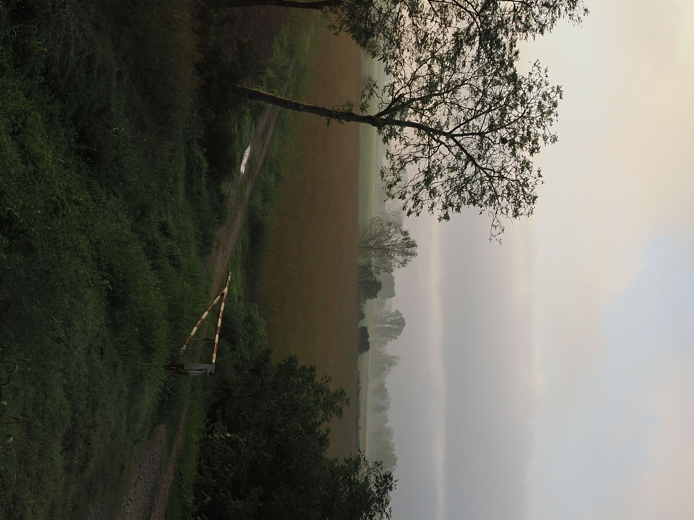 E leggero il mio pensiero vola e va