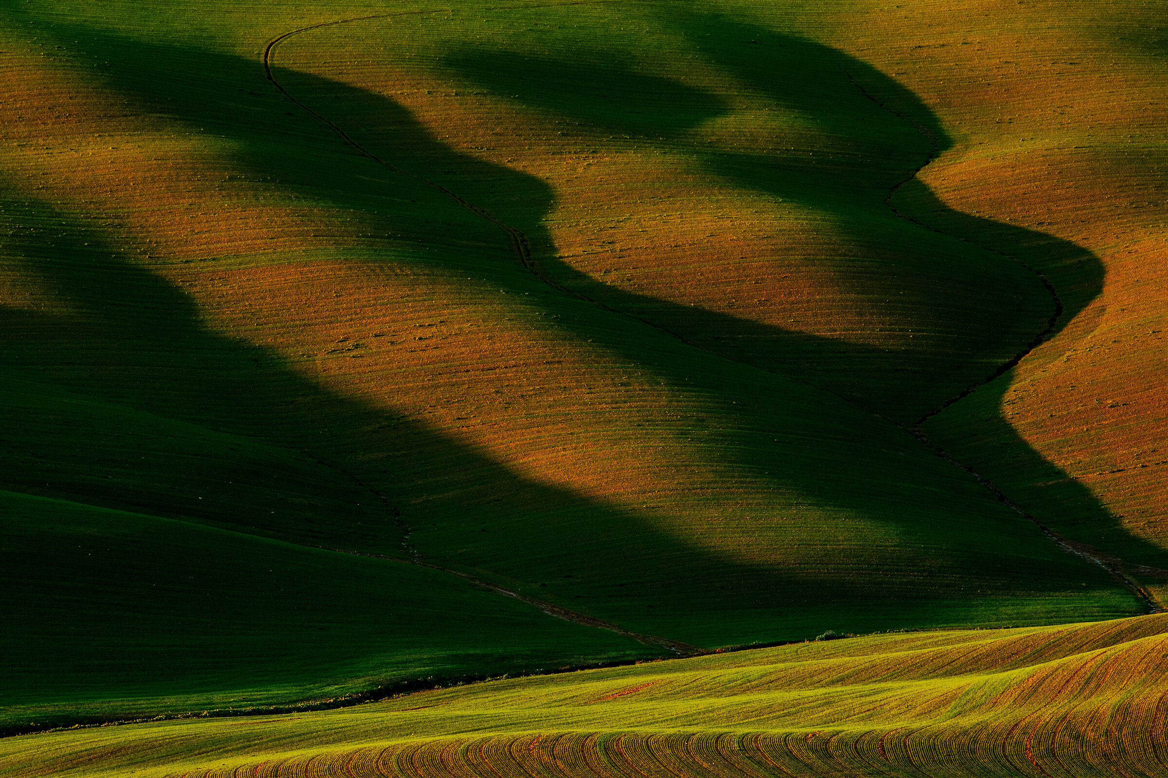 luci e ombre...