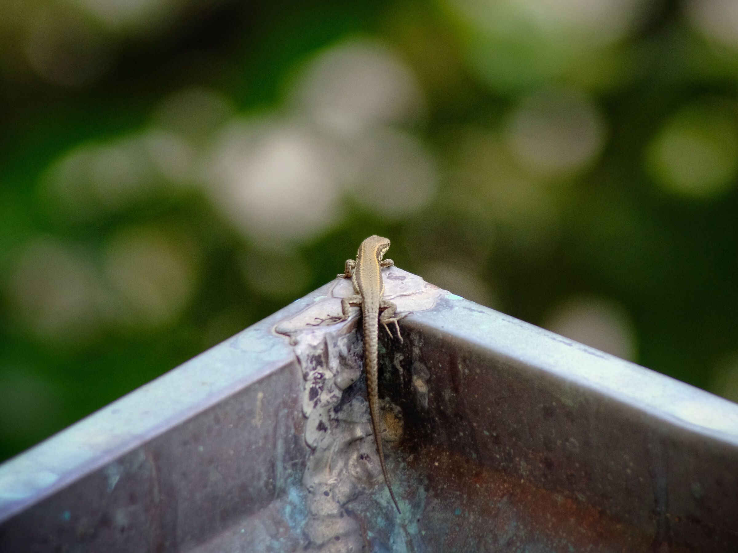 To jump or not to jump!?