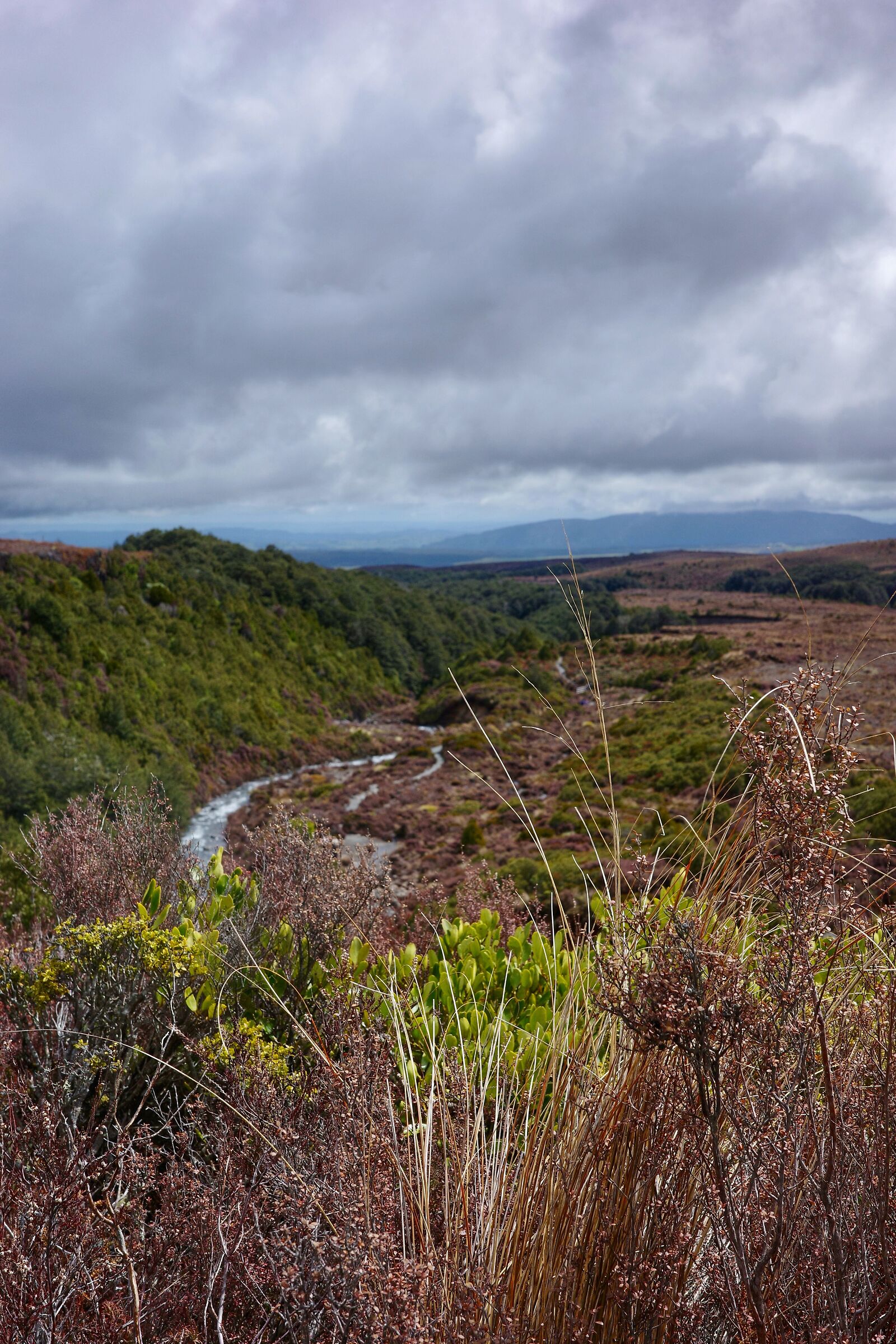 Tongariro #2 , NZ