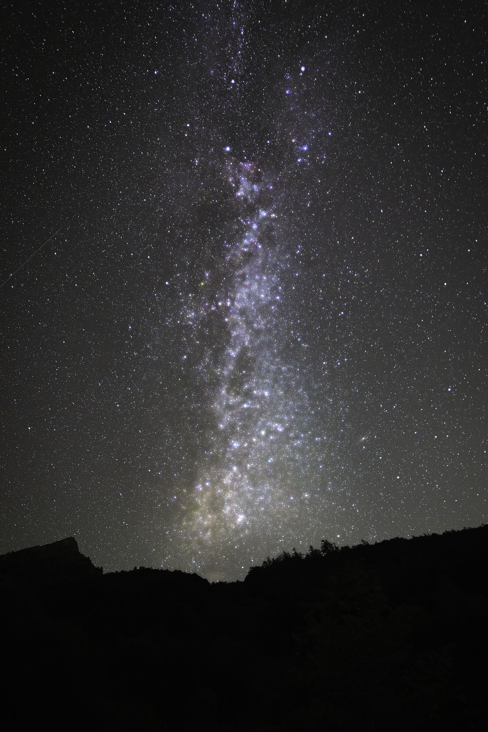 Starred Rio Mondelli