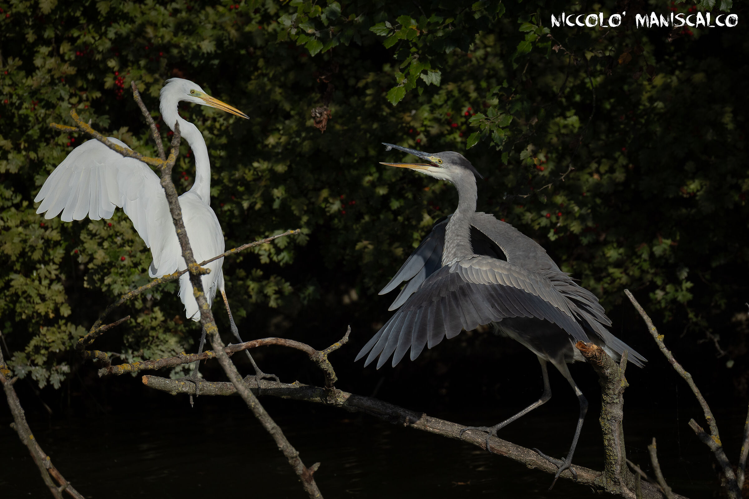 Questioni...Territoriali