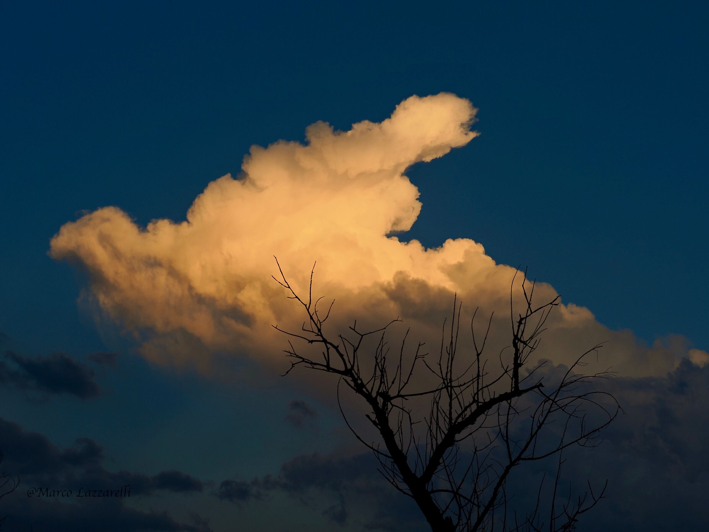 Spot of light at sunset