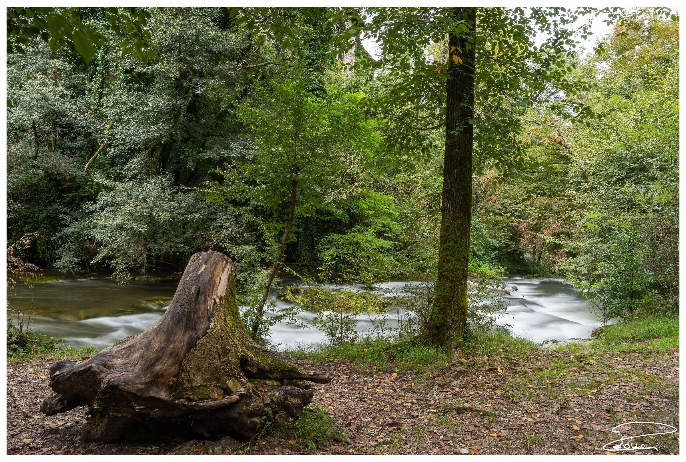 Fermona - Torrente Margorabbia