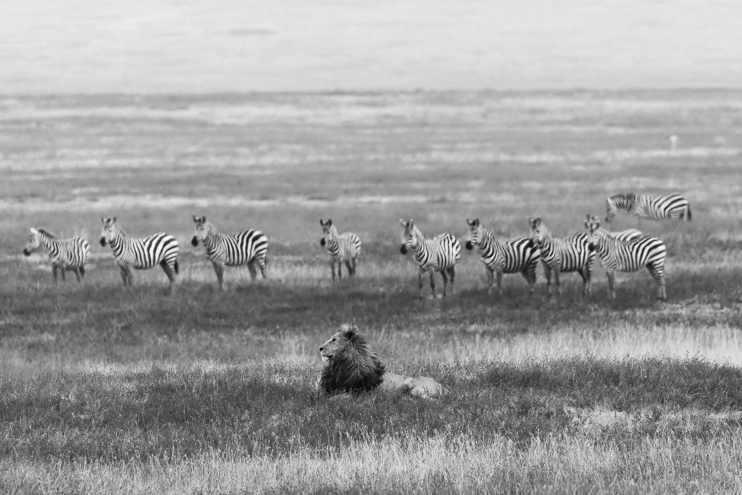 NgoroNgoro Conservation Area - August 2025