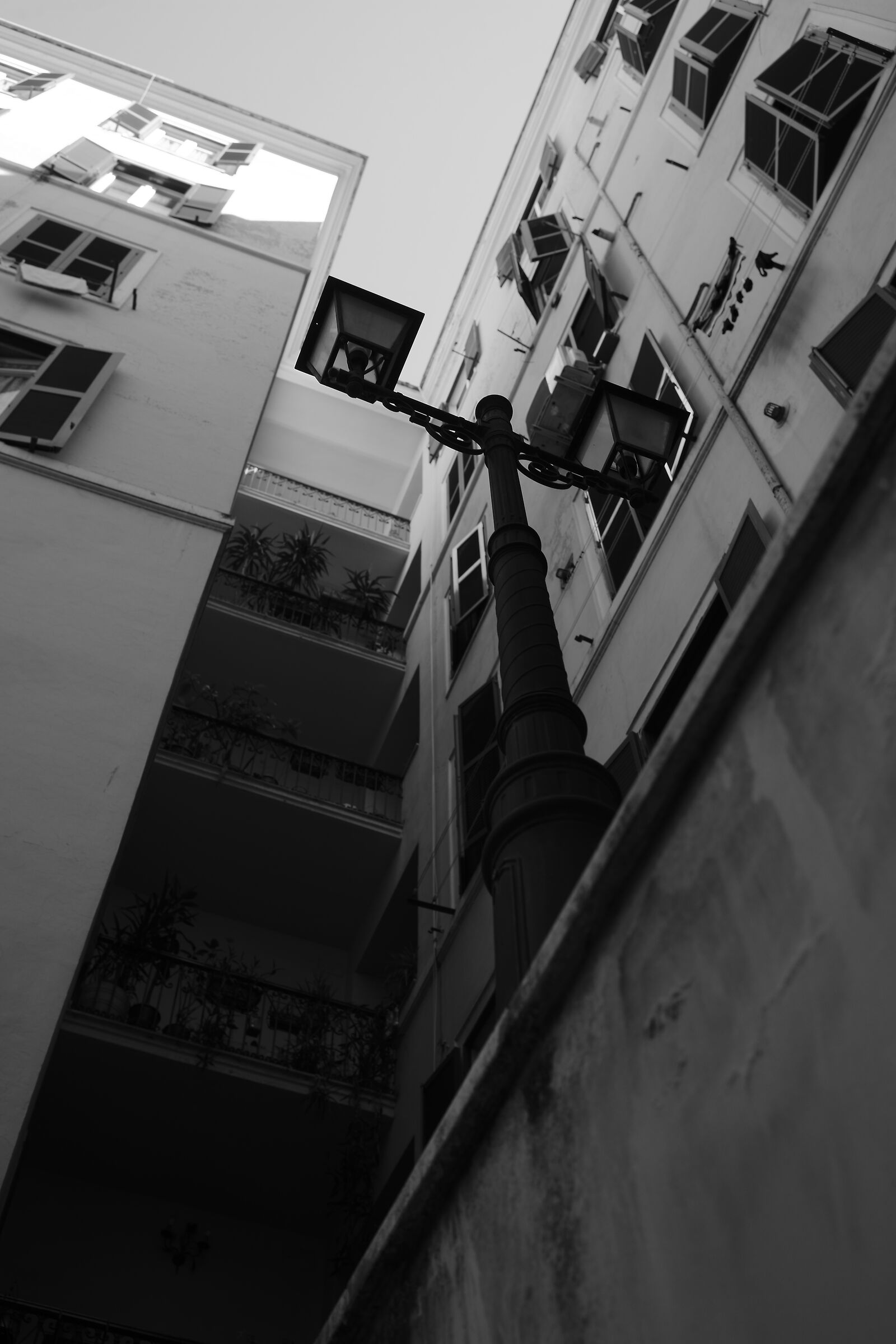 palaces in via dei Gracchi