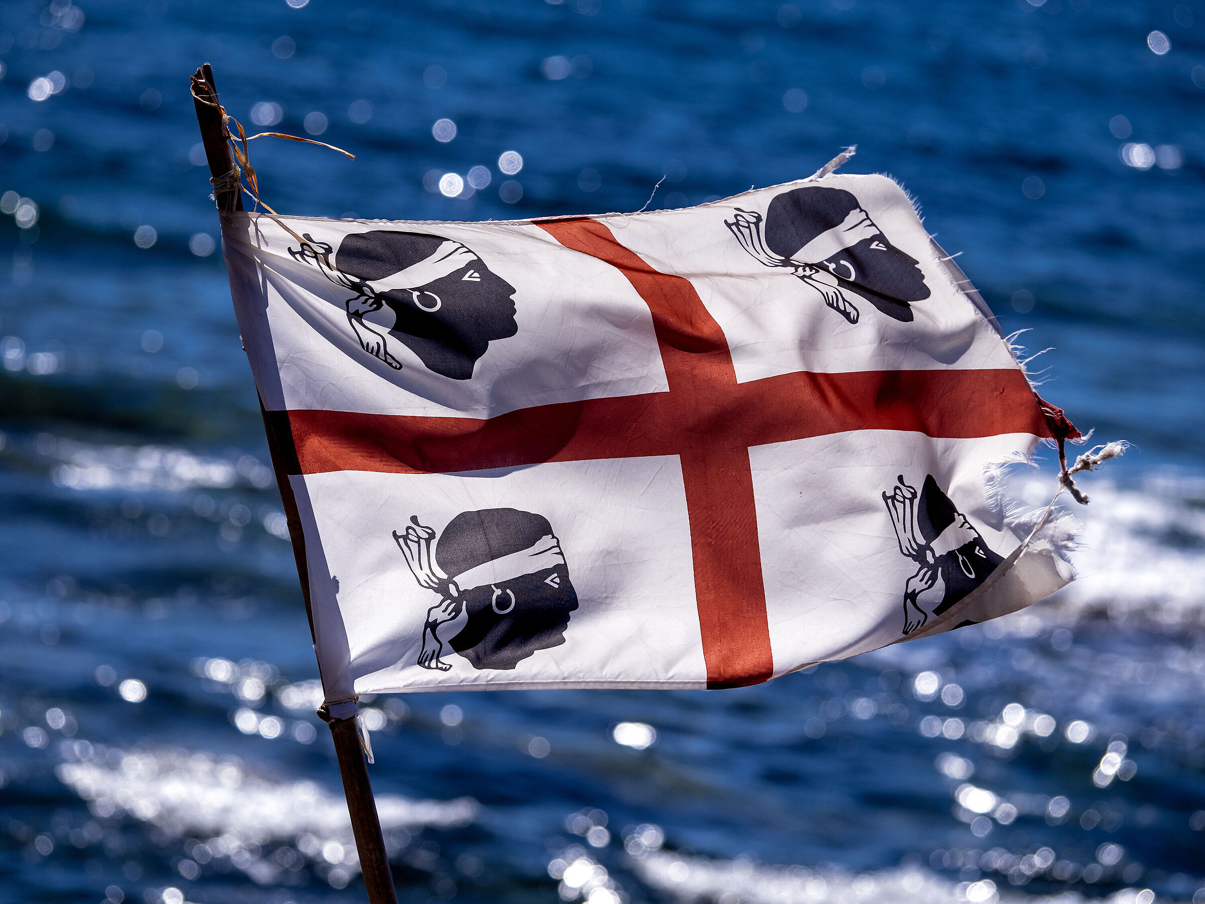 The Sardinian flag