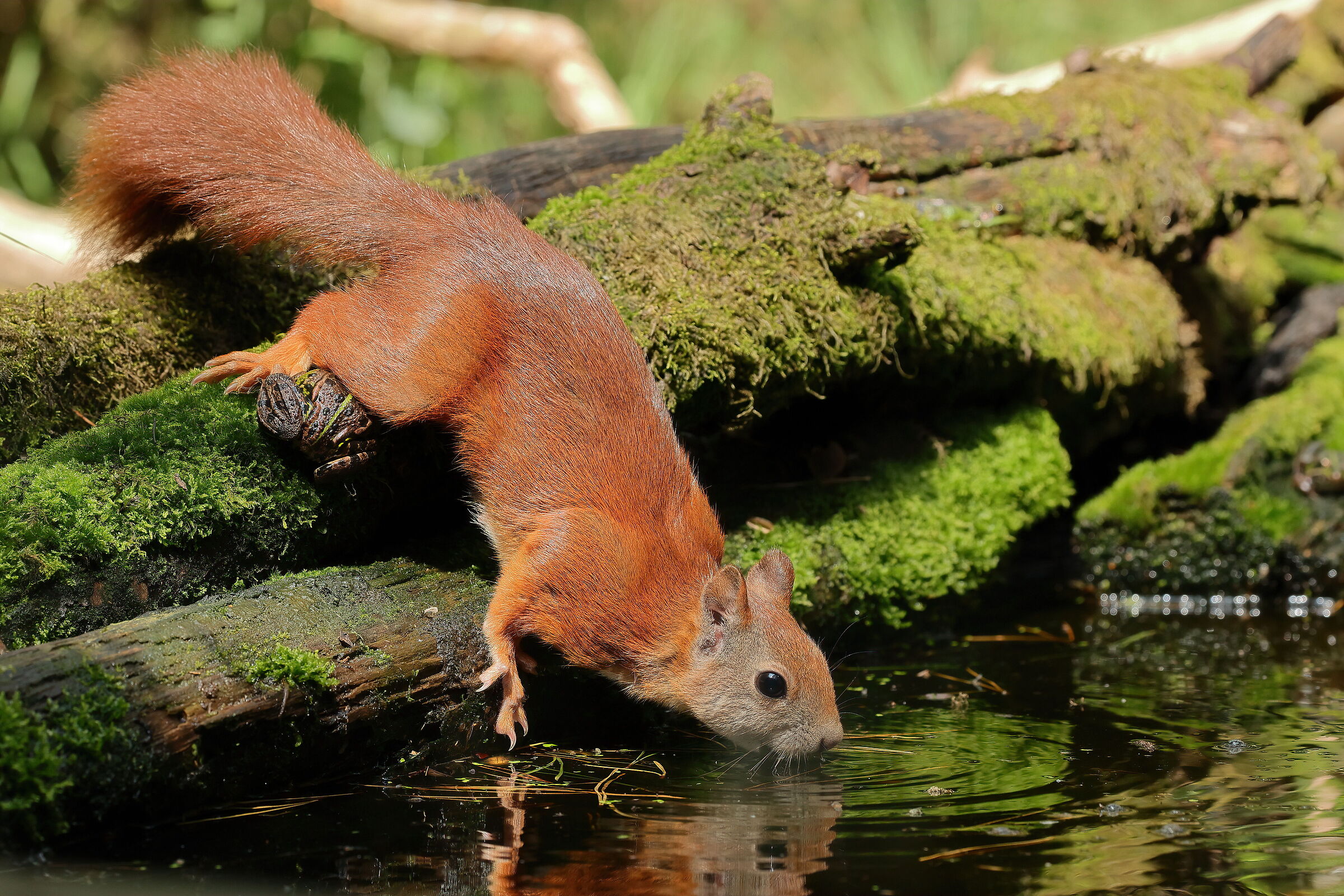 A drink with special support