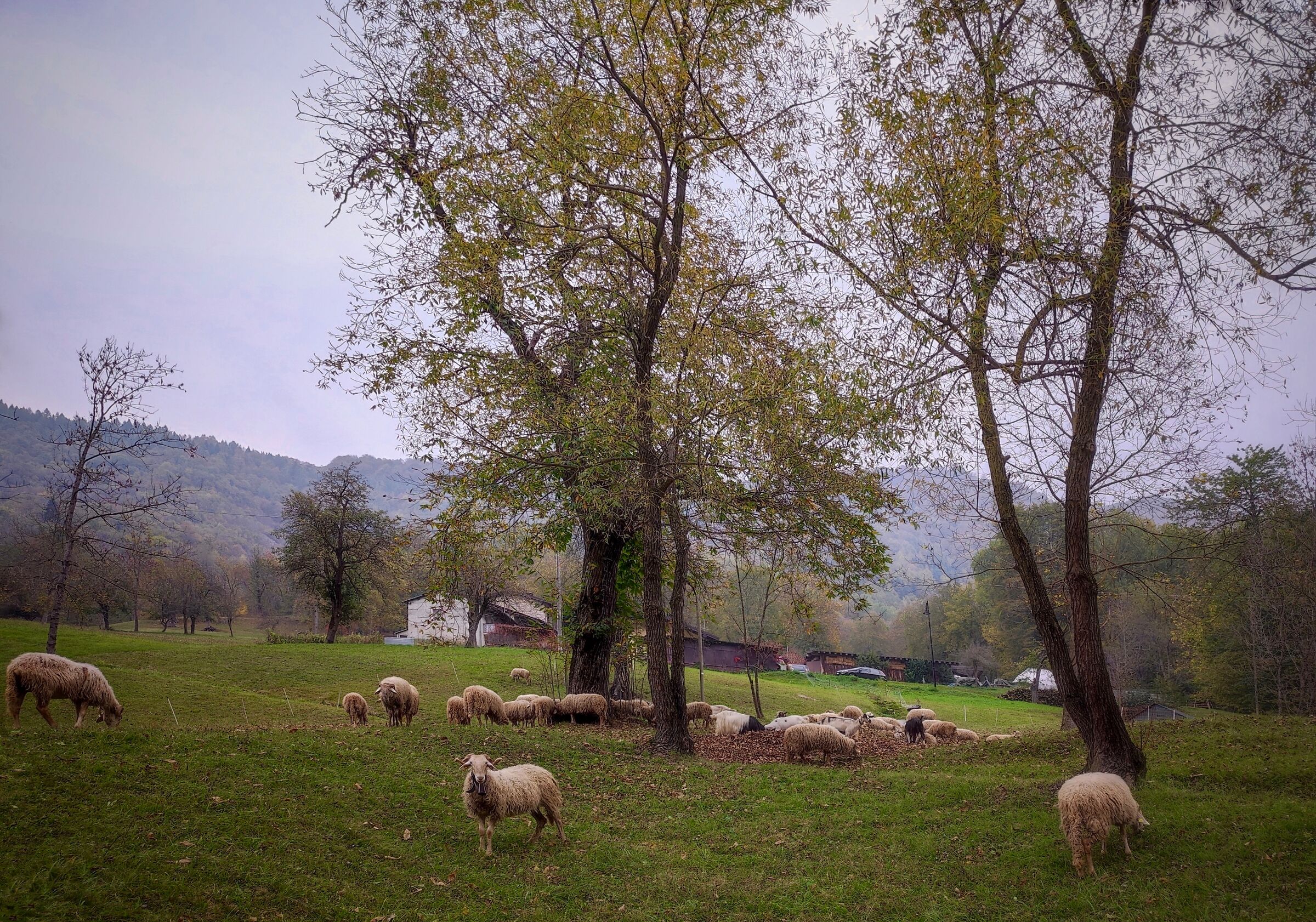 Welcome Autumn