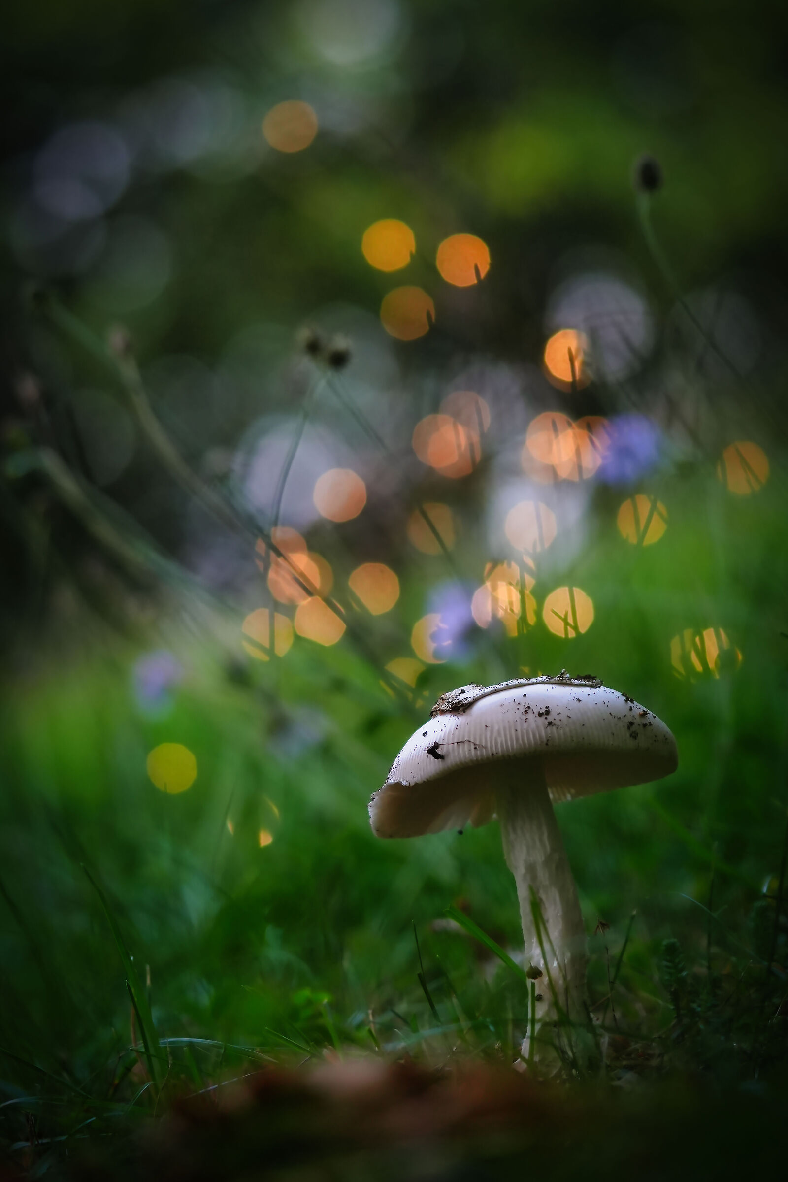 Autumn is coming