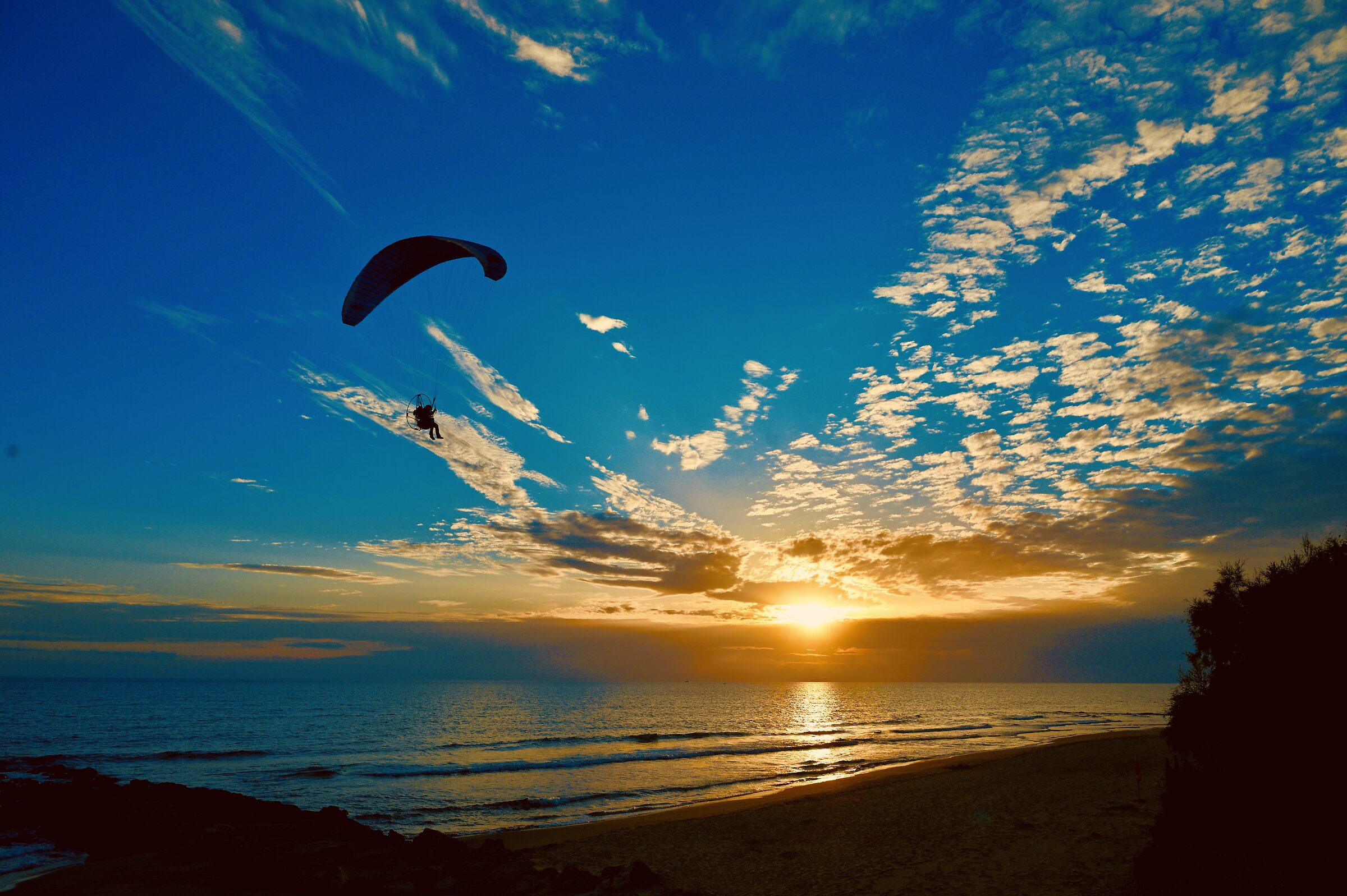 Icarus attracted by the Sun