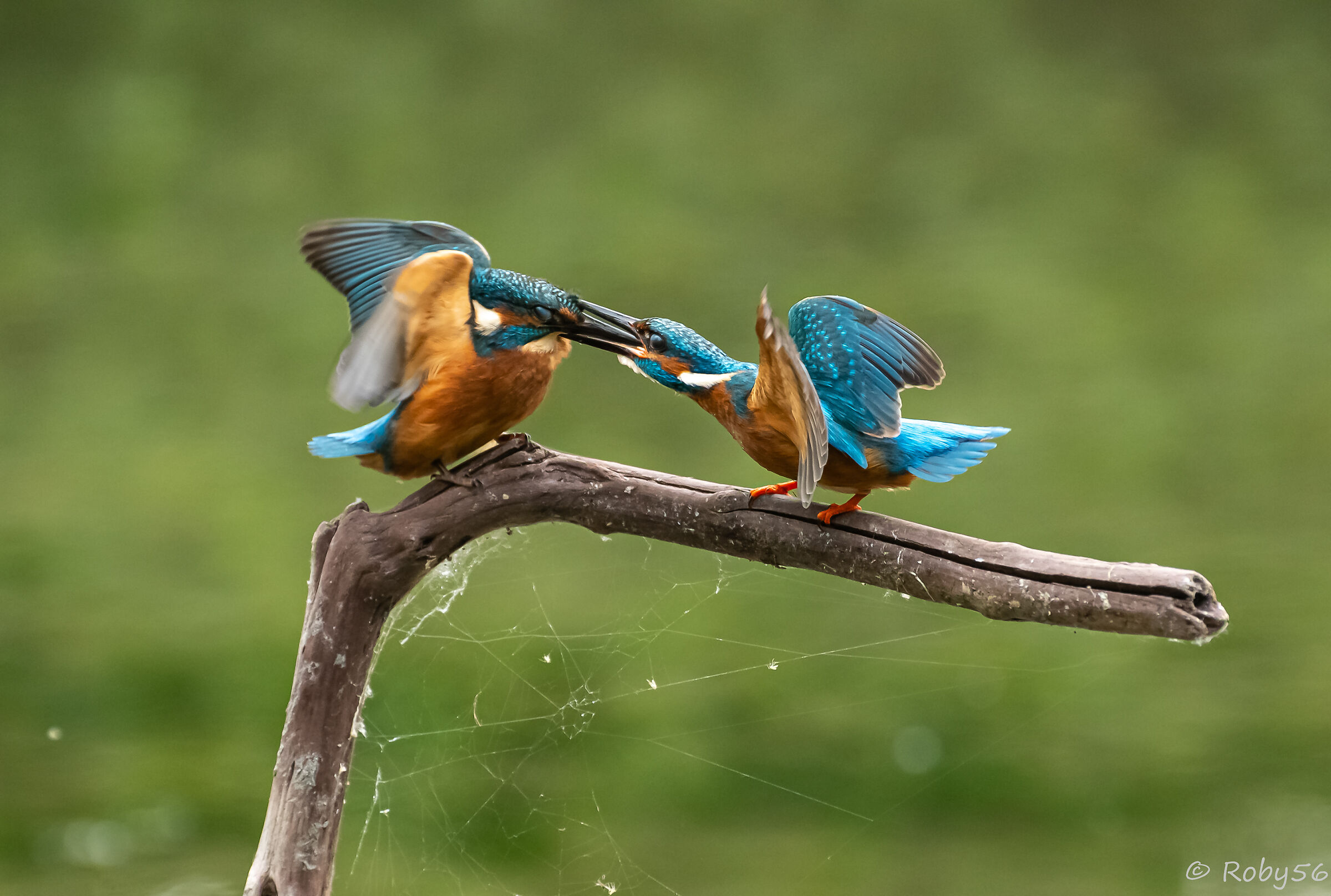 I can't stand you !!