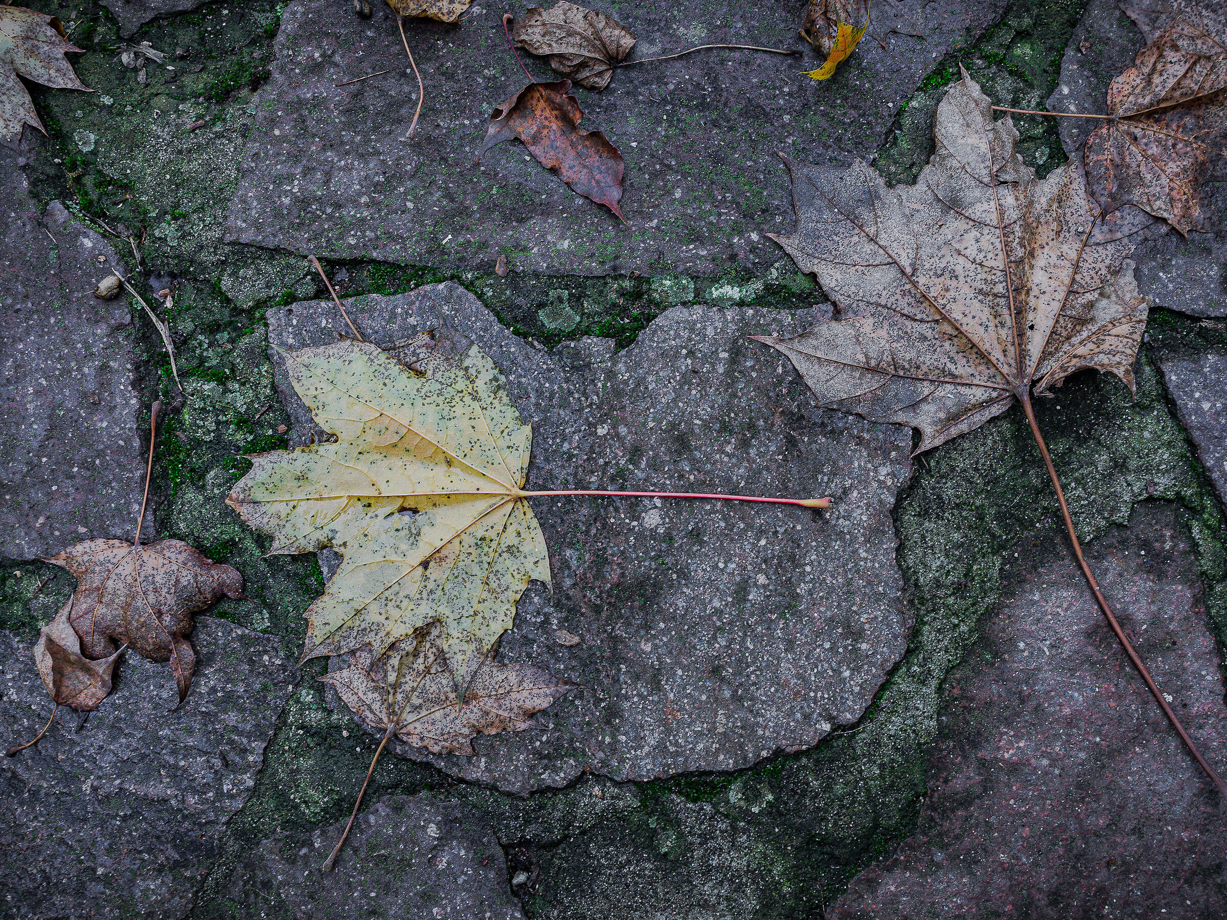 Untitled Photo