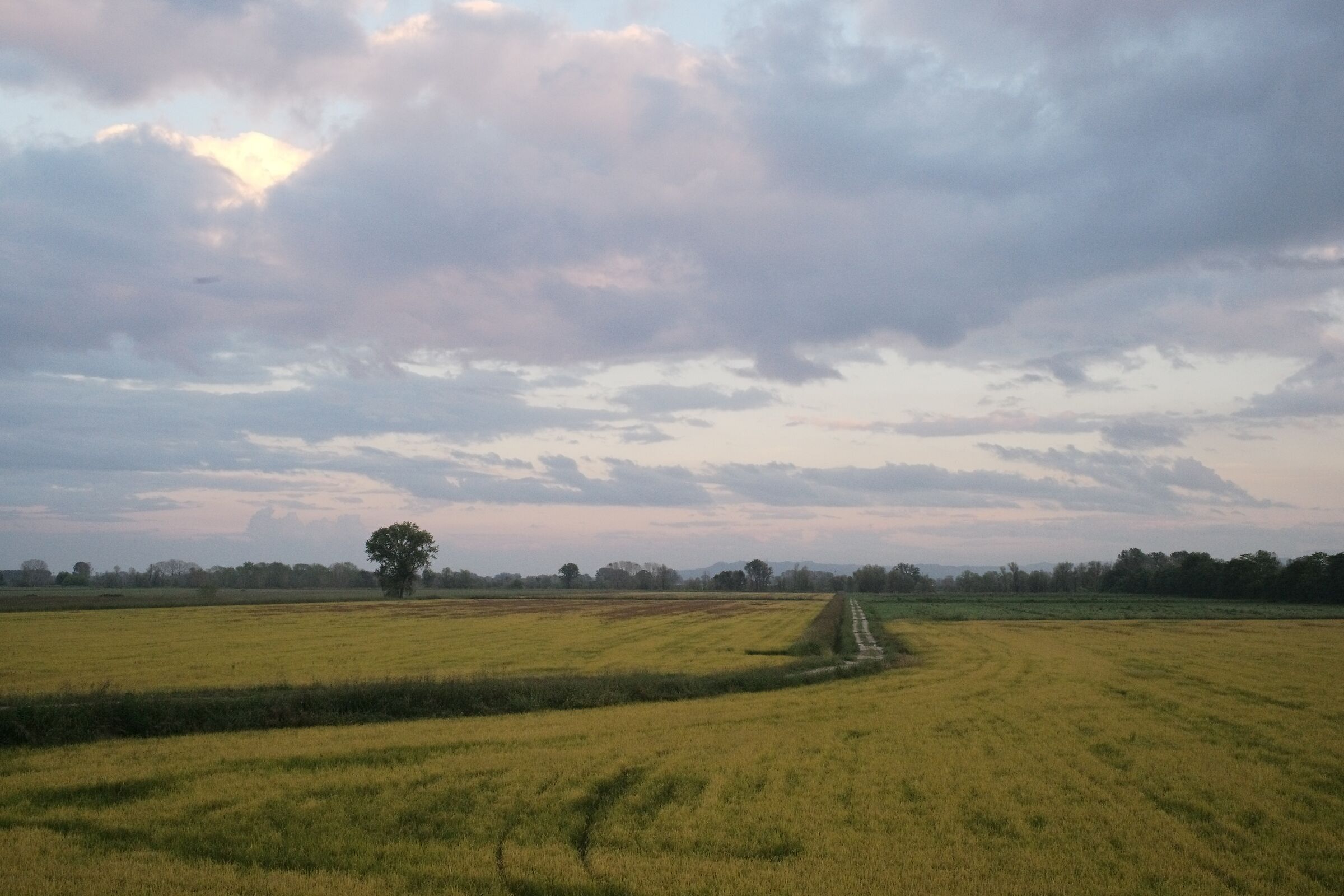 Quella carezza della sera