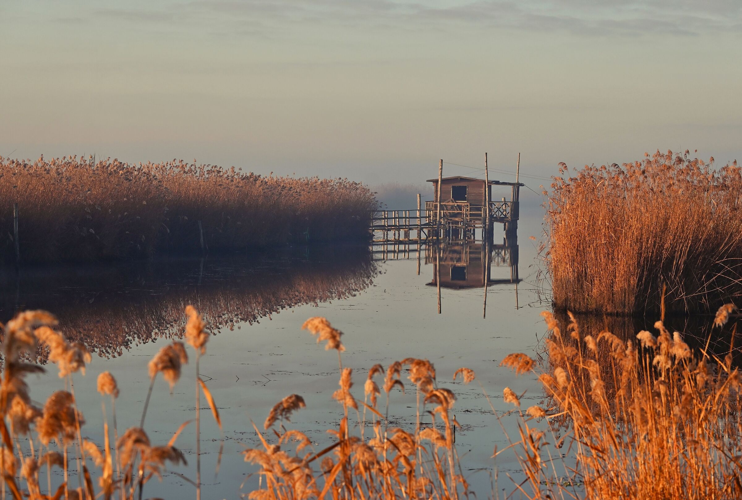 Rural Swamp