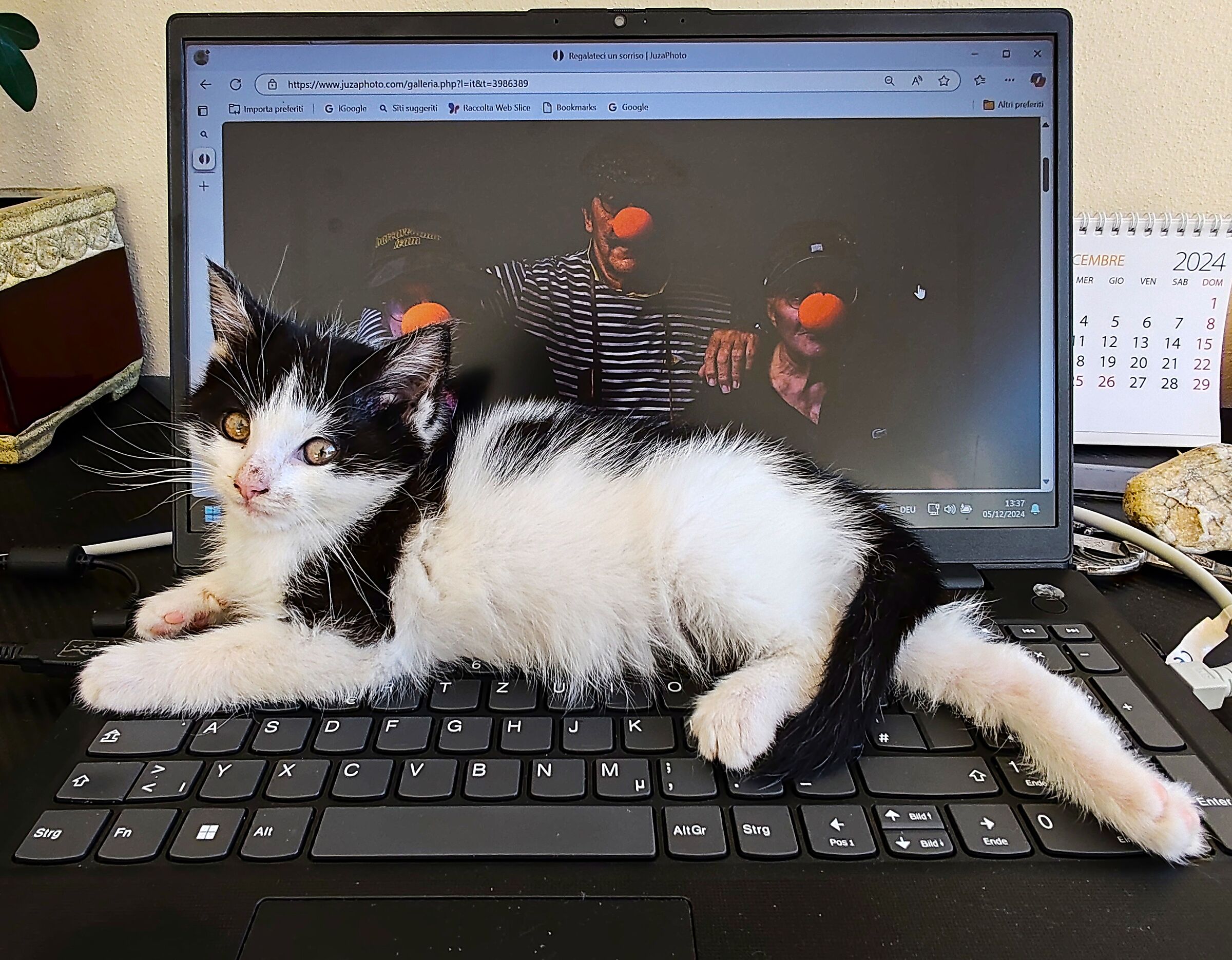 Hit immediately from the keyboard otherwise I'll put my nose...