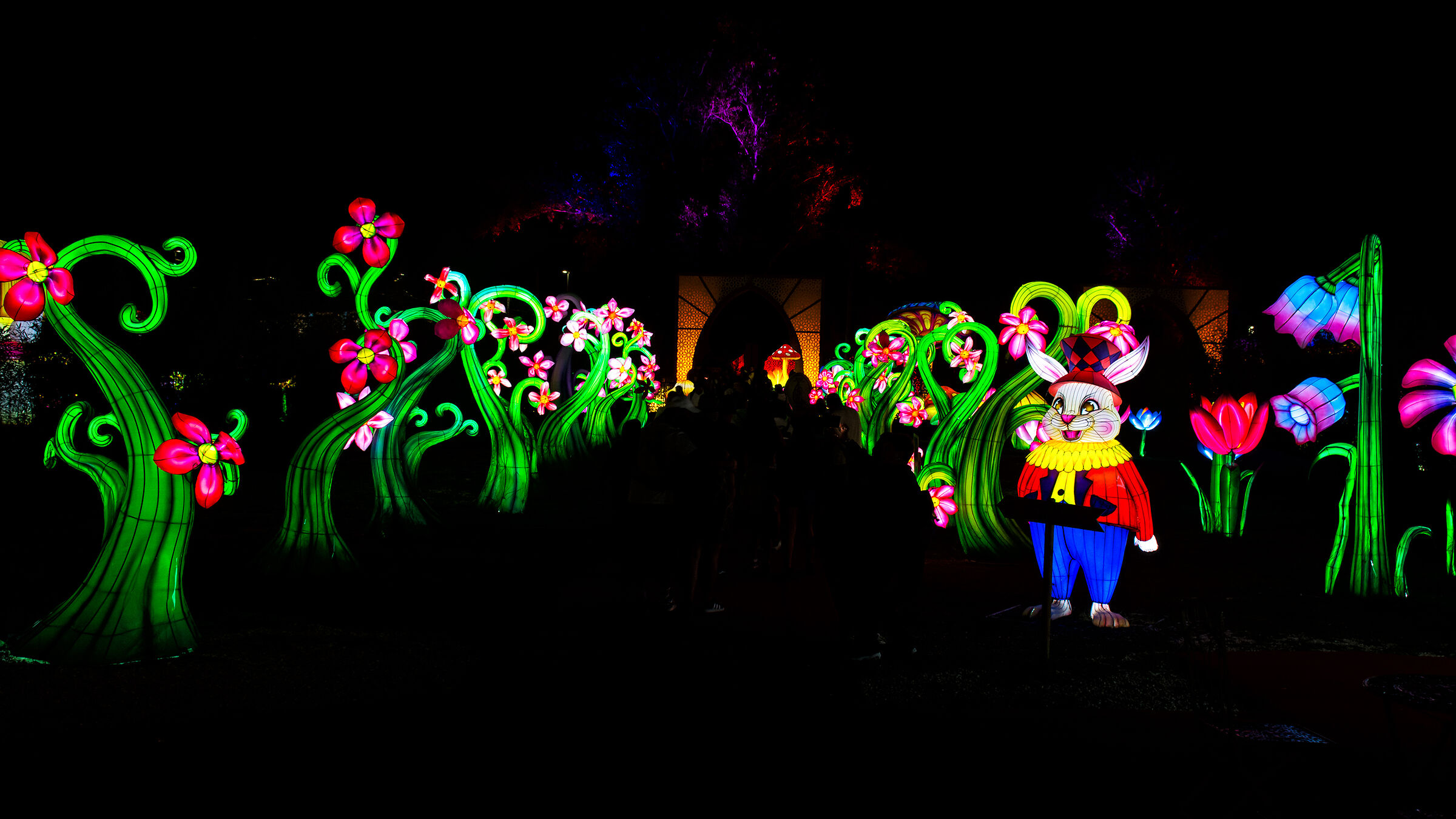 The enchanted avenue