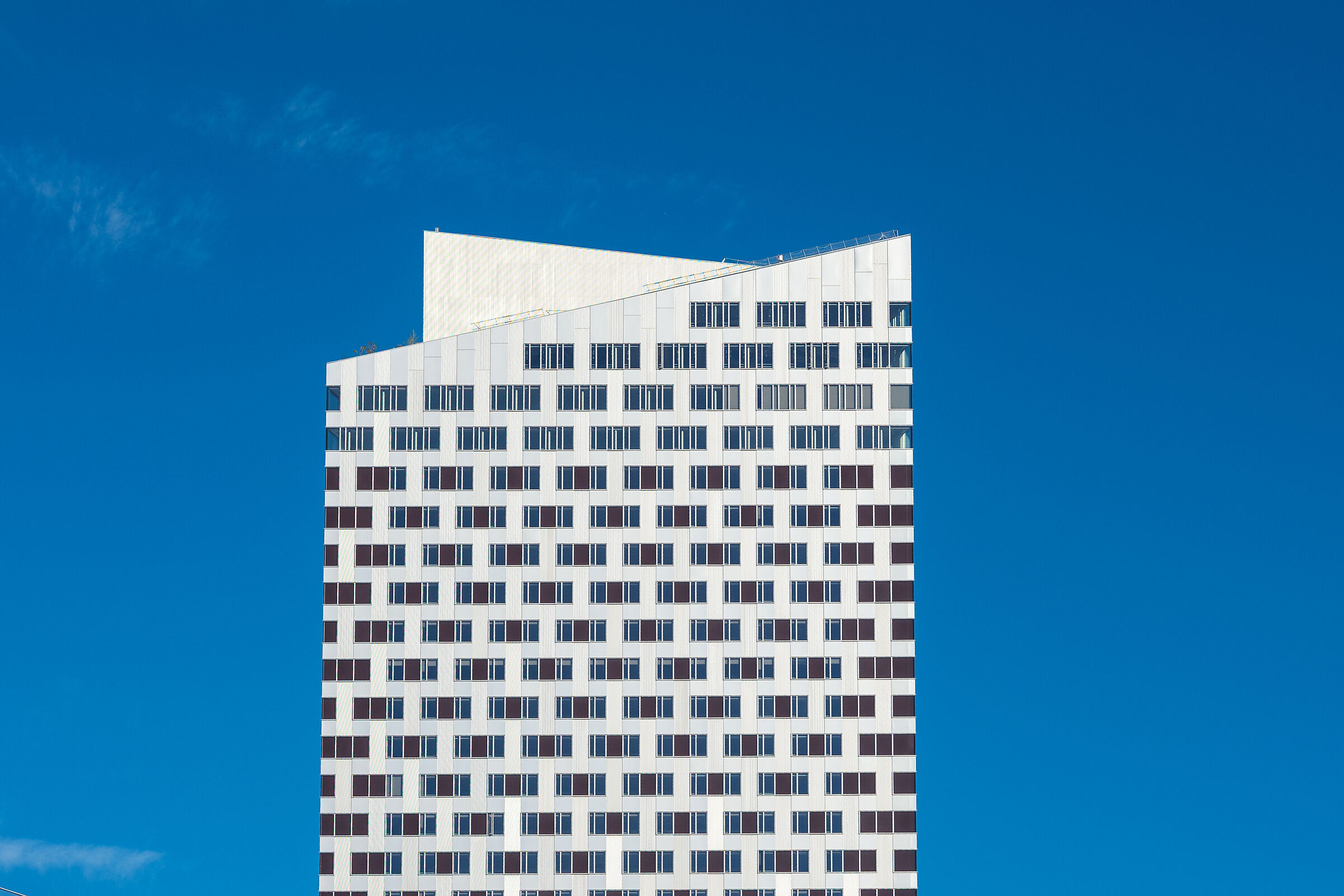White Blue