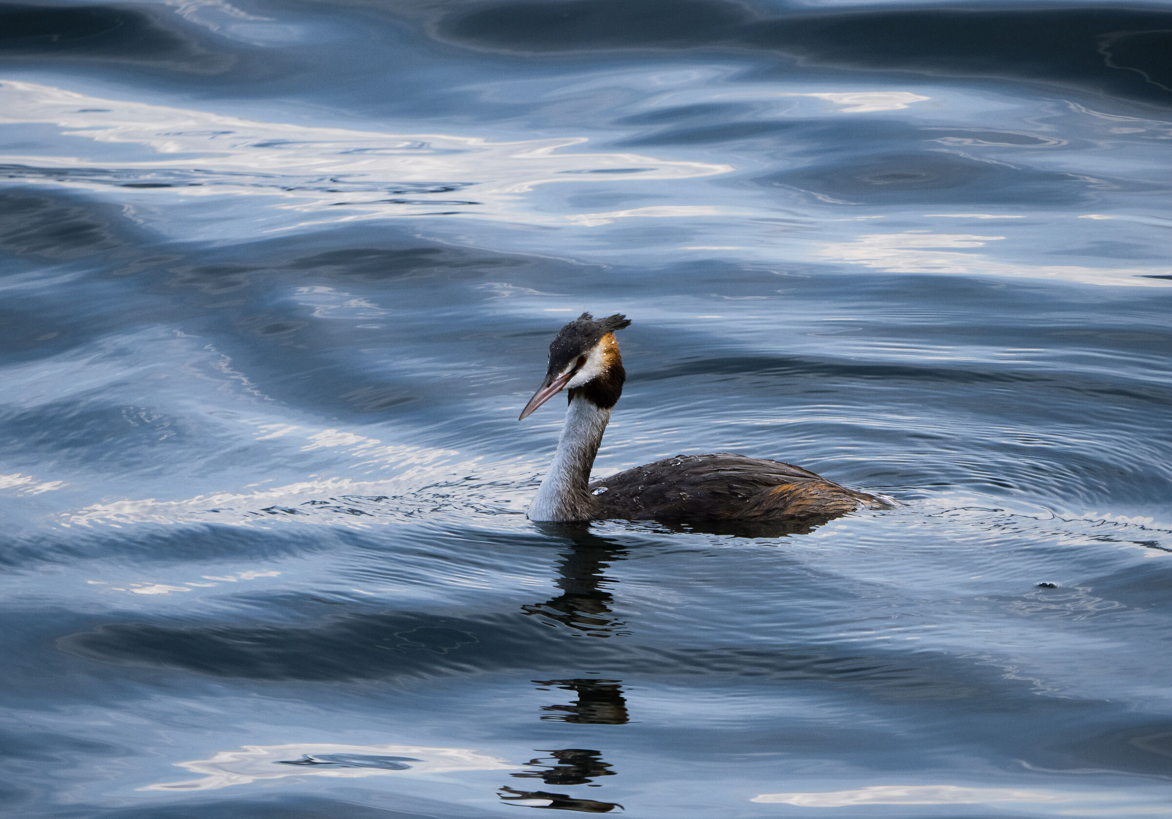Sailing through the blue