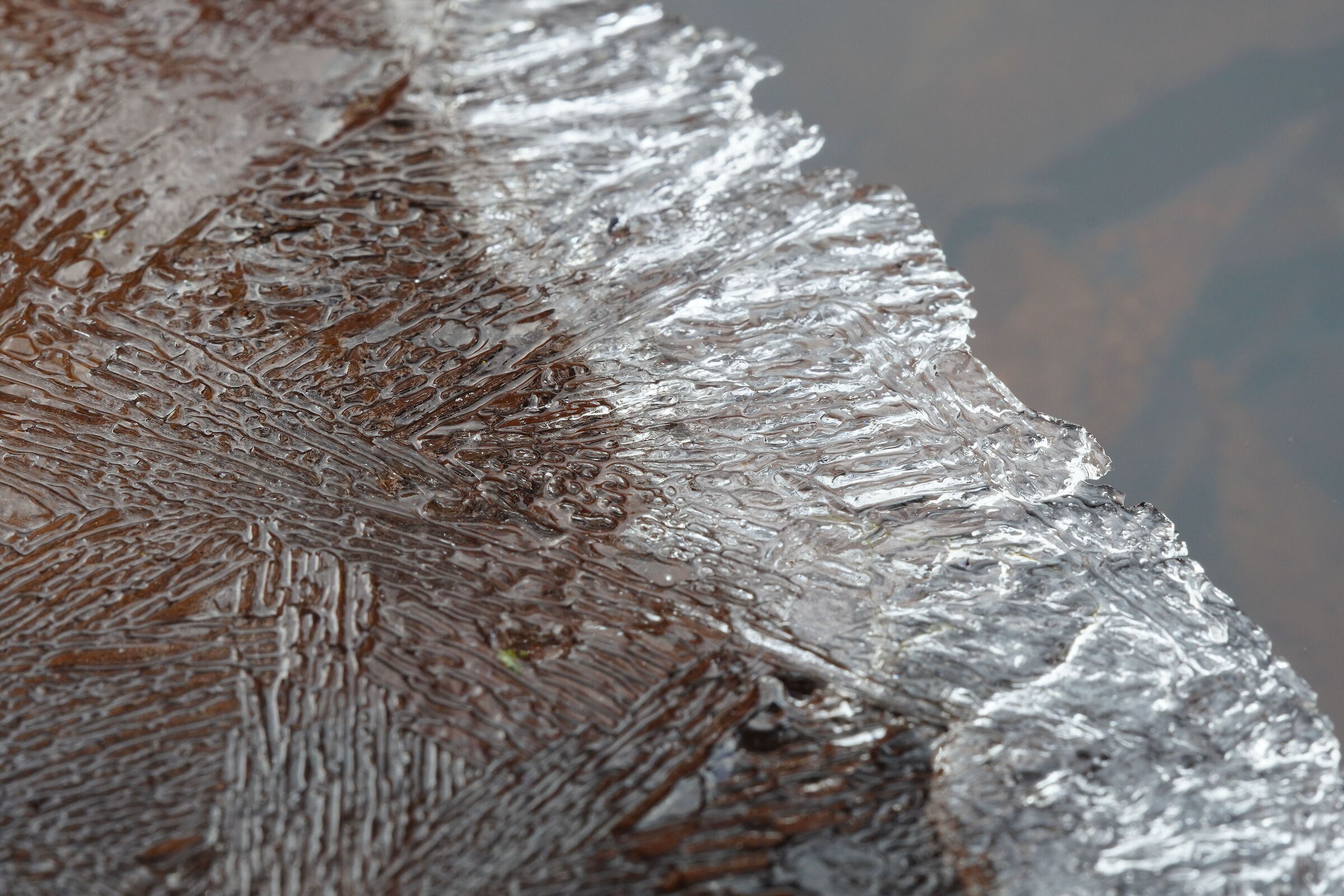 Ice lace