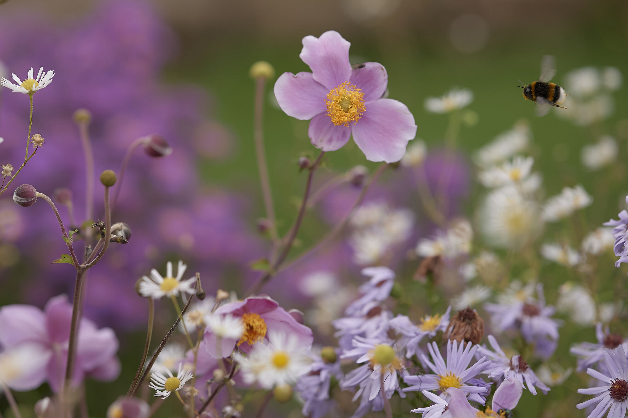 Autumn - Hurry before it gets cold.